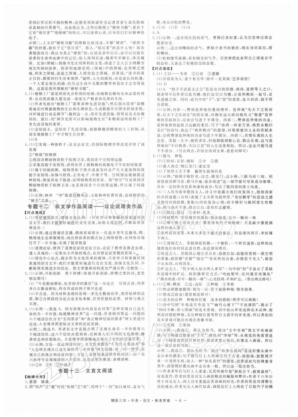 2022年精彩三年中考语文 参考答案第6页