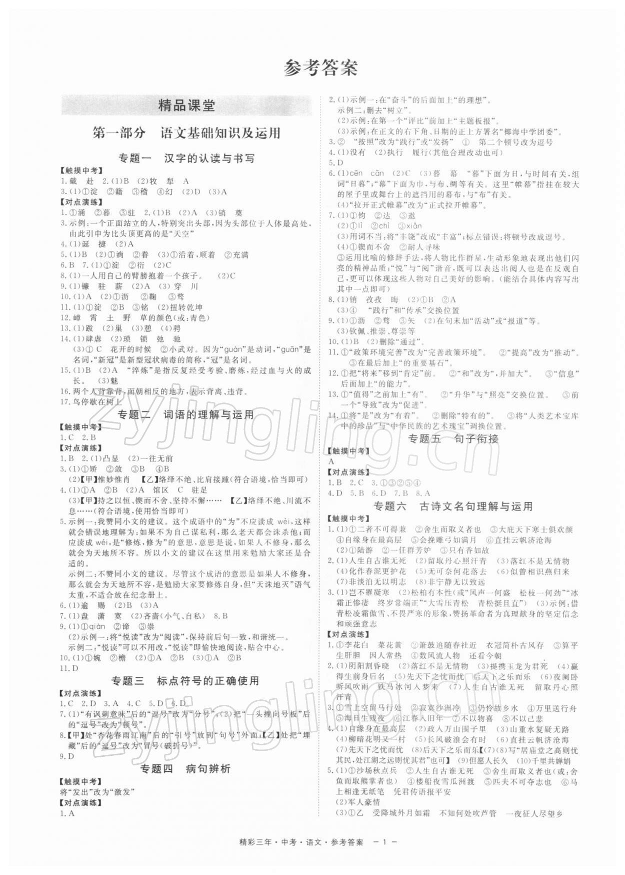 2022年精彩三年中考语文 参考答案第1页