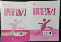 2022年精彩练习就练这一本七年级英语下册人教版浙江专版