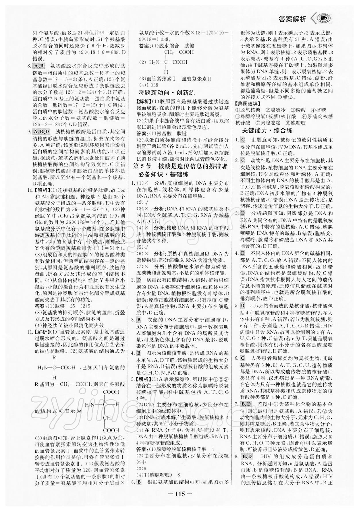 2021年世紀(jì)金榜課時講練通生物必修1分子與細(xì)胞人教版 參考答案第6頁