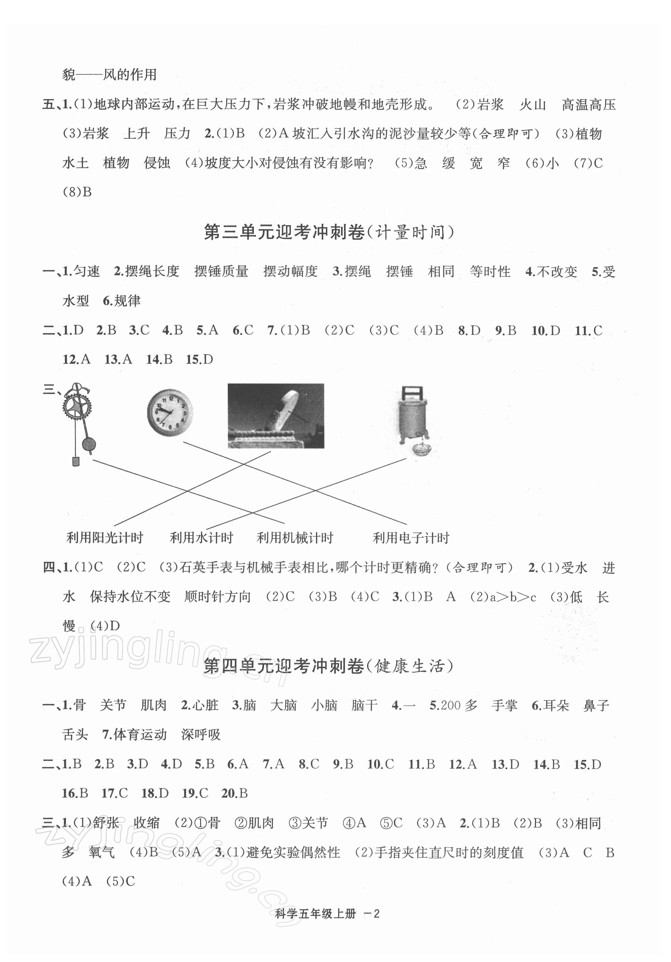 2021年浙江各地期末迎考卷五年級(jí)科學(xué)上冊(cè)教科版 第2頁