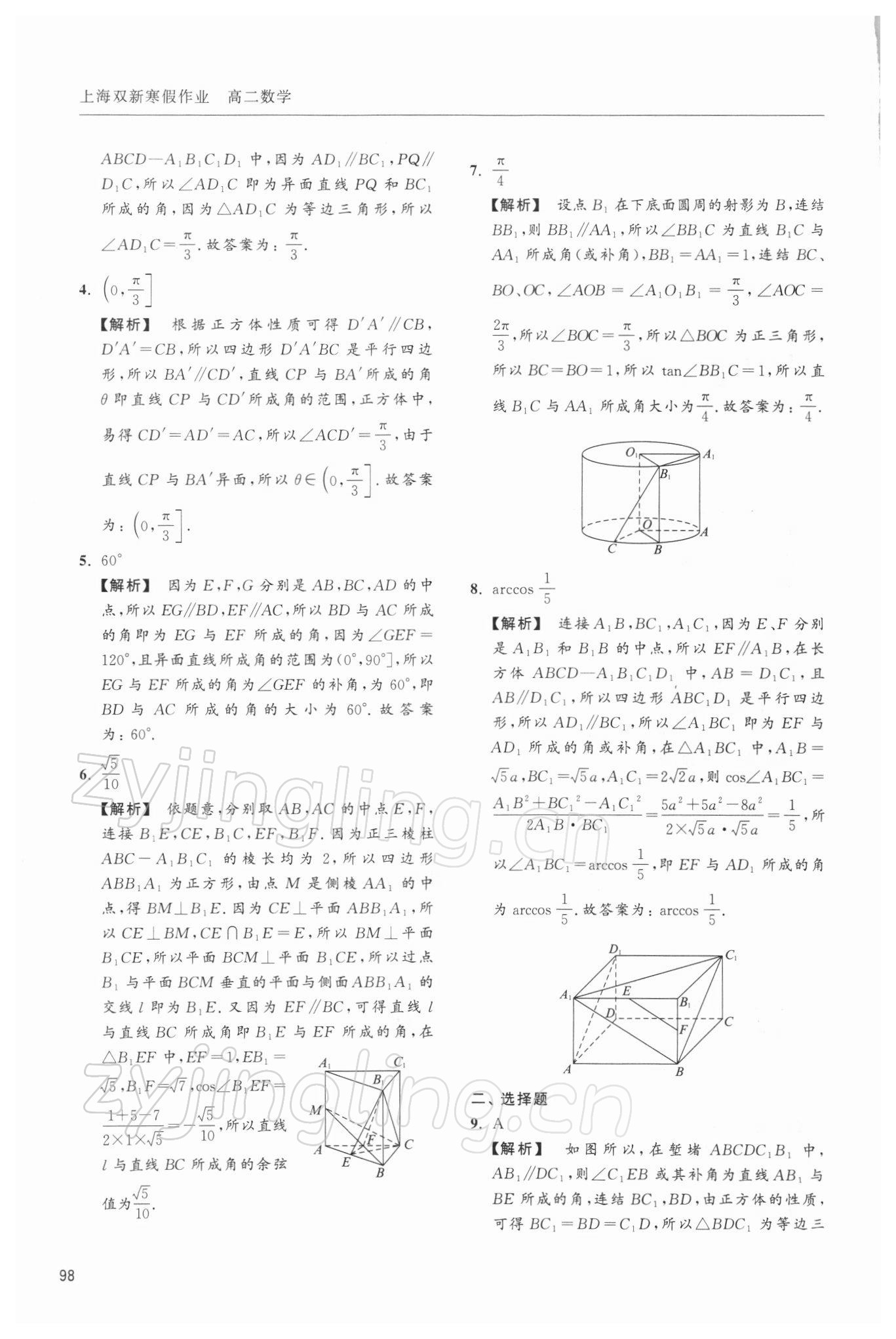 2021年上海双新寒假作业高二数学沪教版 第10页