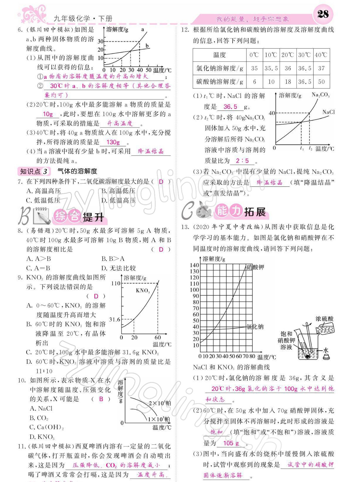 2022年課堂點(diǎn)睛九年級化學(xué)下冊人教版寧夏專版 參考答案第28頁