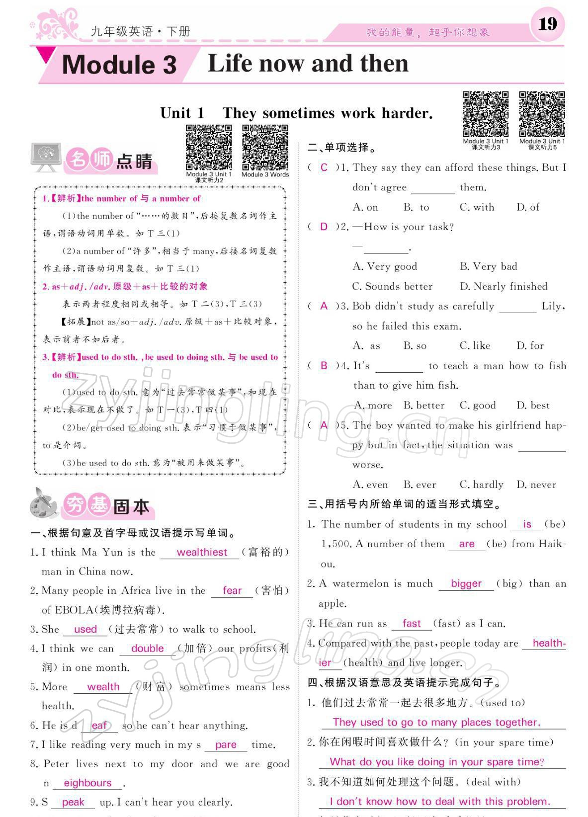 2022年課堂點(diǎn)睛九年級英語下冊外研版 參考答案第19頁