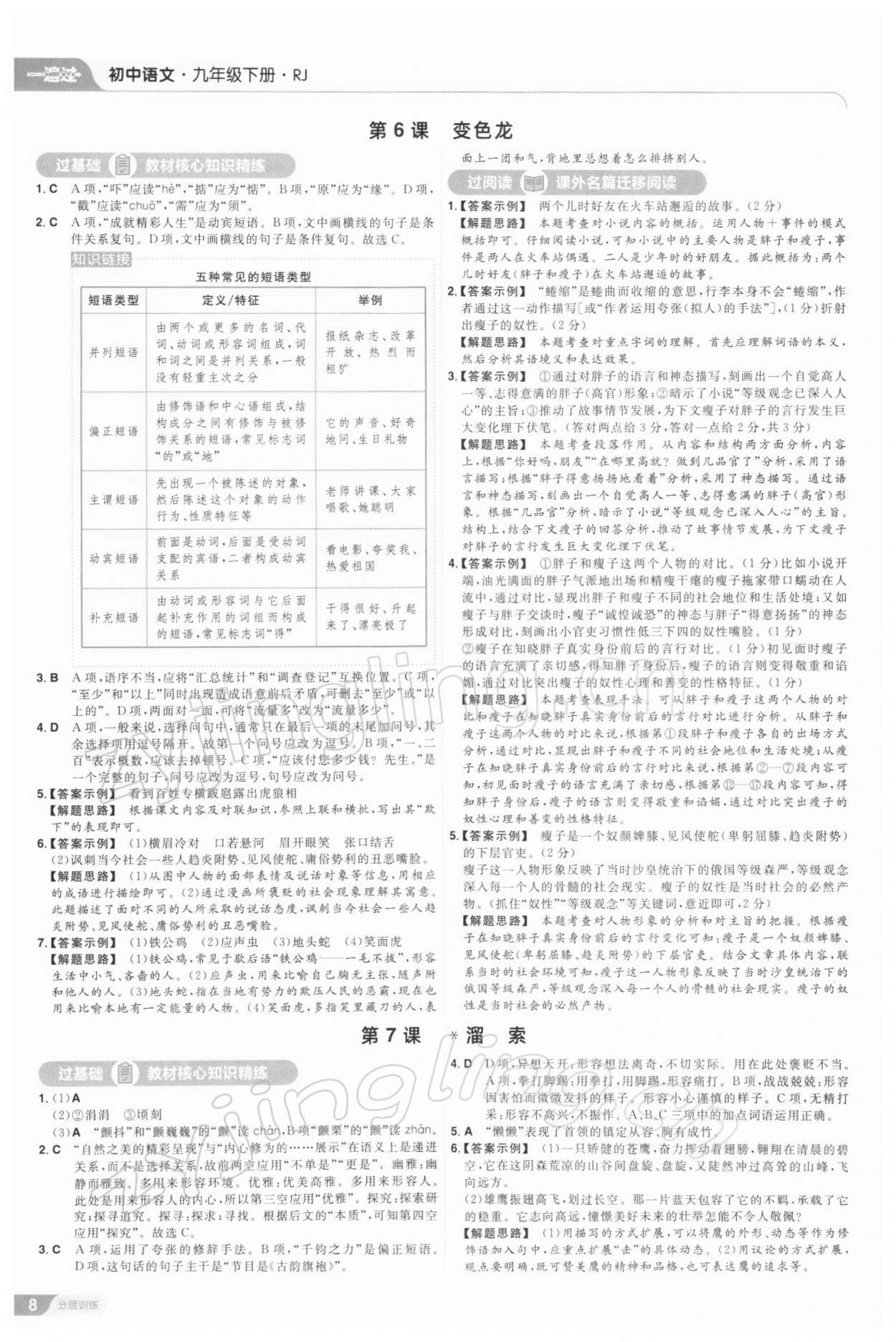 2022年一遍过九年级初中语文下册人教版 参考答案第8页