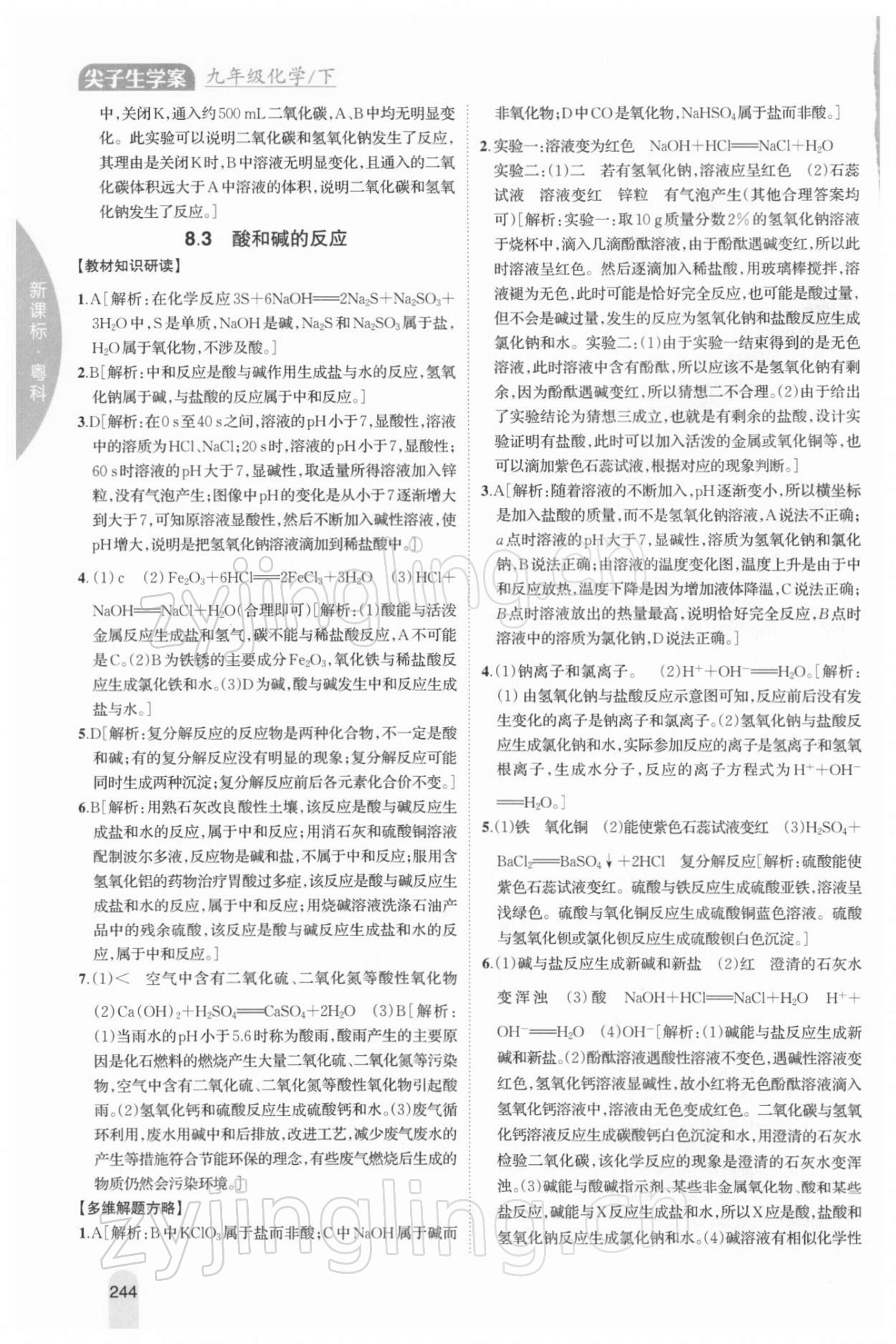 202年尖子生學(xué)案九年級化學(xué)下冊粵科版 第20頁