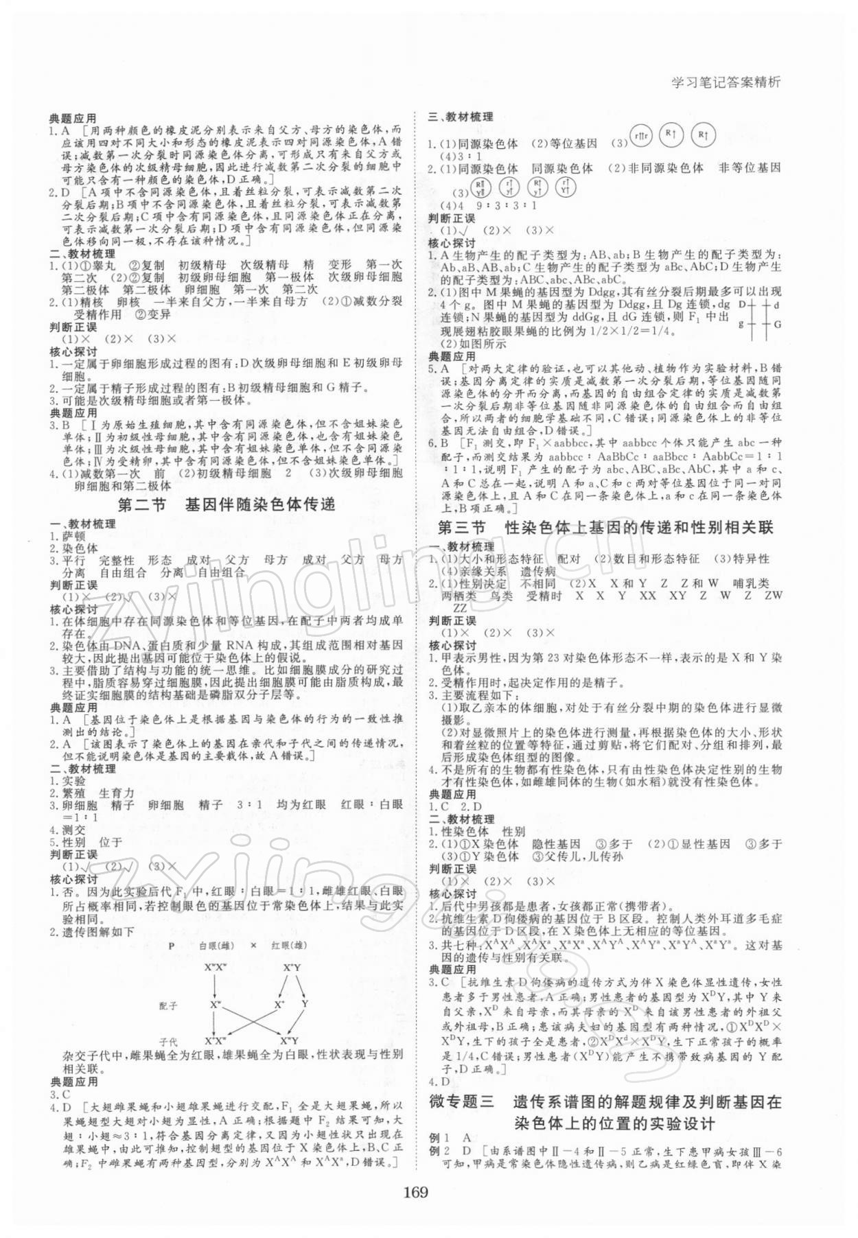 2021年步步高学习笔记高中生物必修2遗传与进化浙科版 参考答案第4页