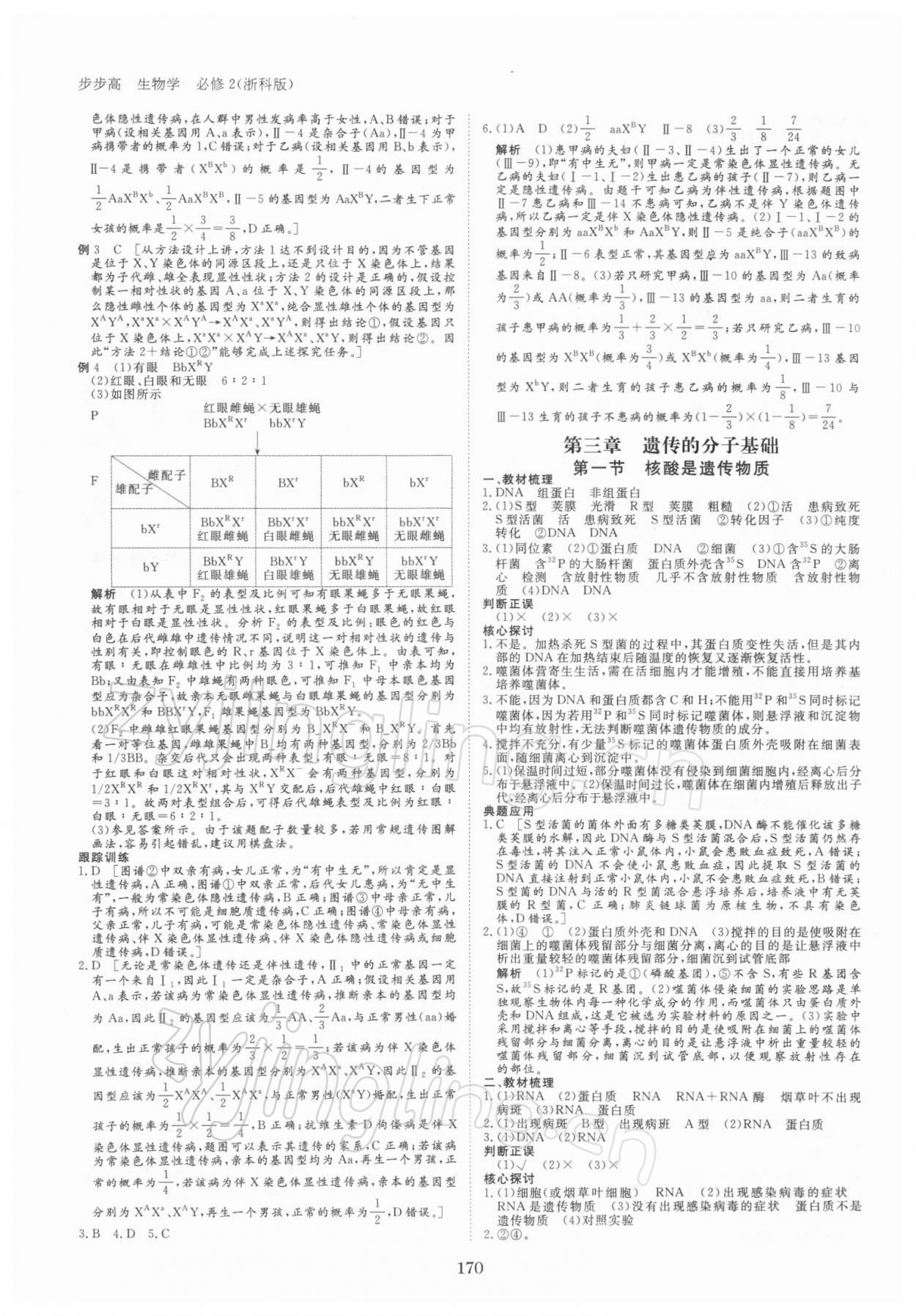 2021年步步高学习笔记高中生物必修2遗传与进化浙科版 参考答案第5页