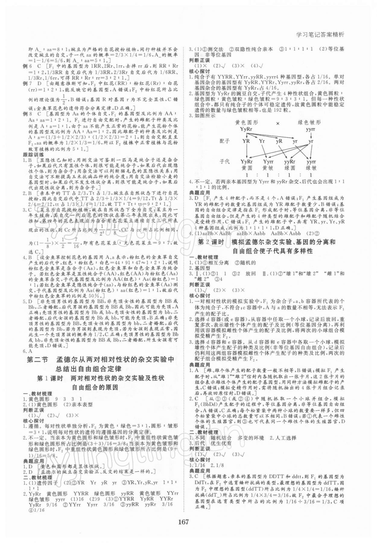 2021年步步高学习笔记高中生物必修2遗传与进化浙科版 参考答案第2页