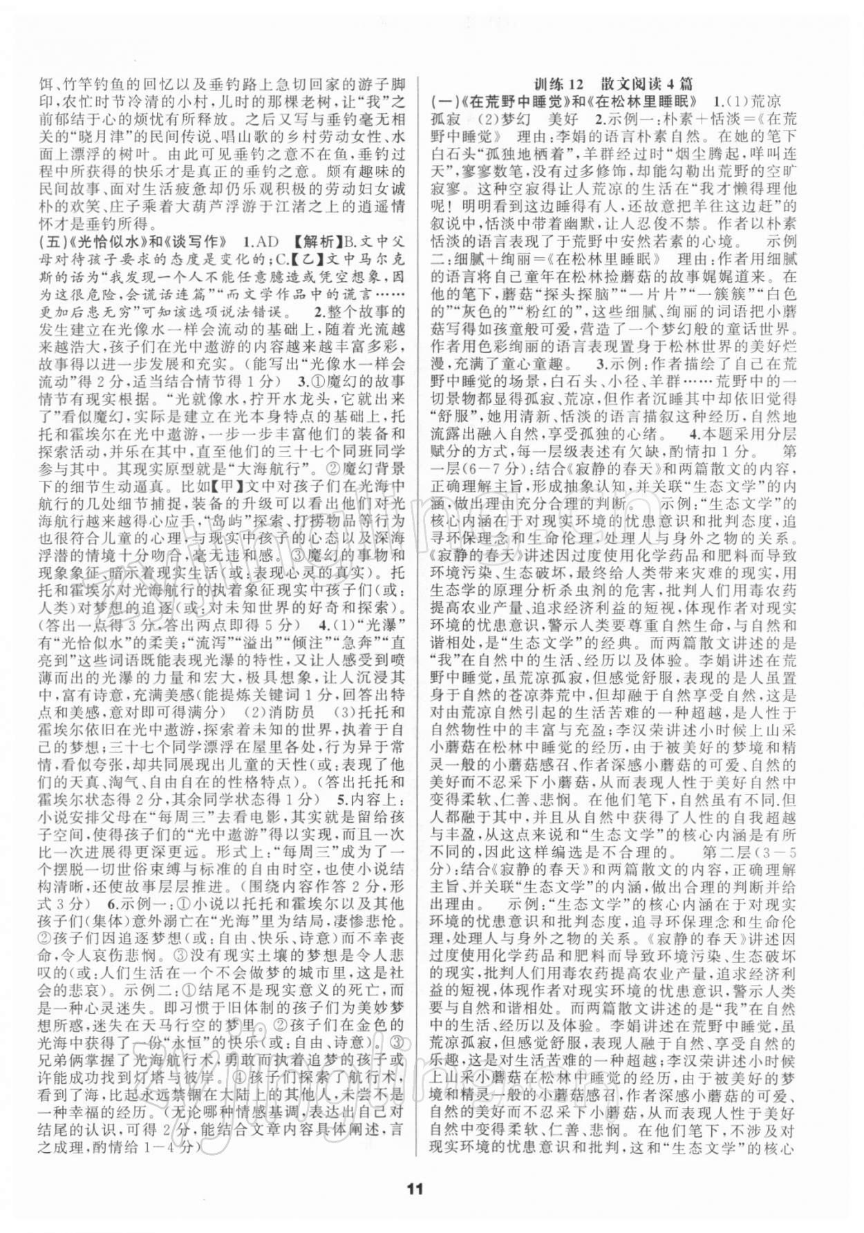 2021年中考高高手語(yǔ)文 第11頁(yè)