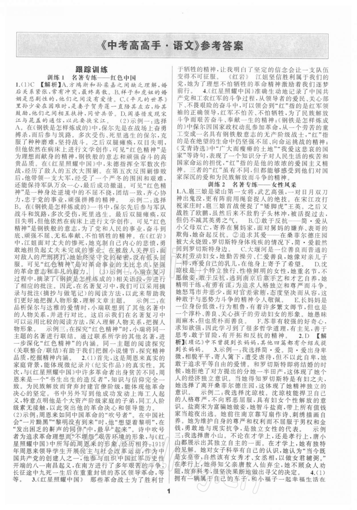 2021年中考高高手語文 第1頁