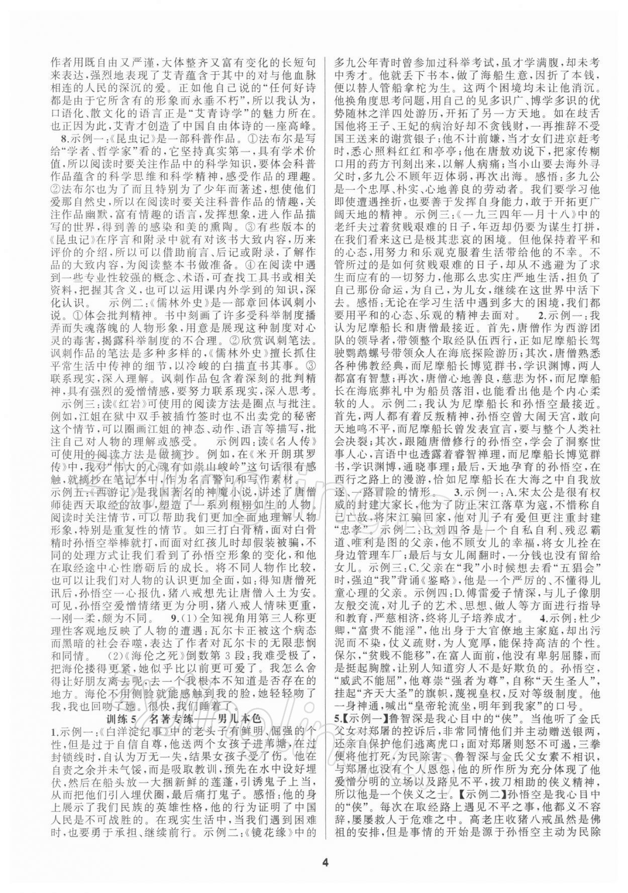 2021年中考高高手語(yǔ)文 第4頁(yè)
