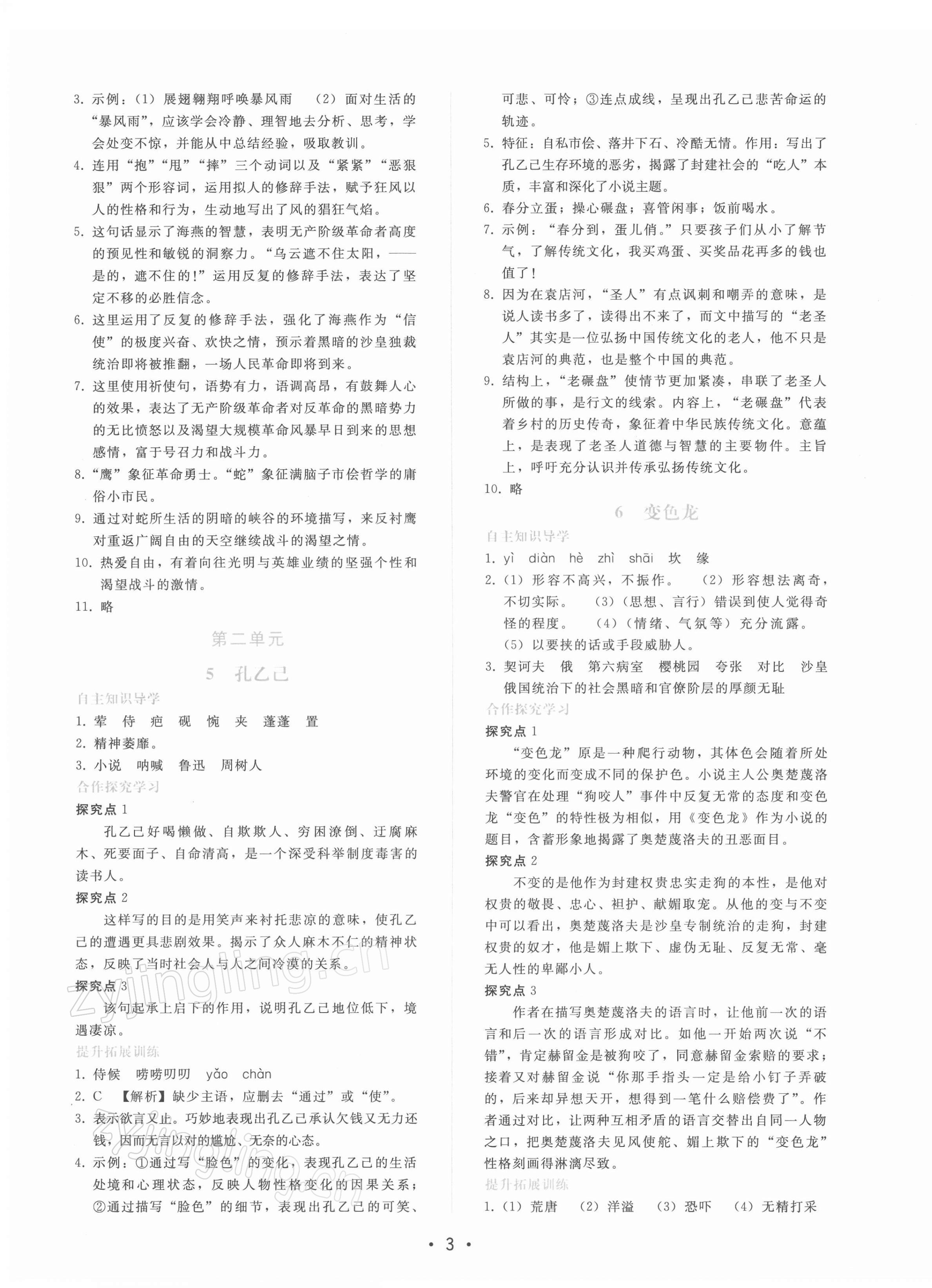 2022年新課程學(xué)習(xí)輔導(dǎo)九年級(jí)語(yǔ)文下冊(cè)人教版 參考答案第3頁(yè)