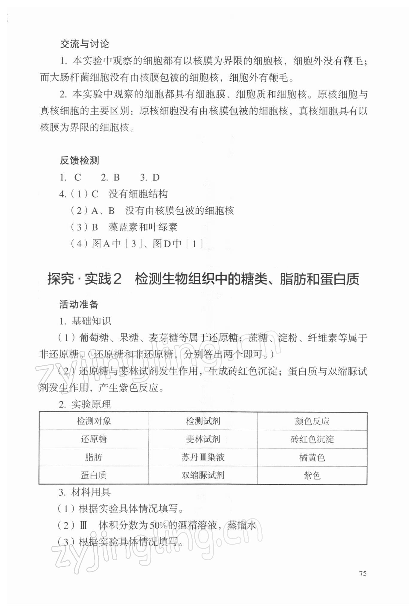 2021年探究活動(dòng)報(bào)告冊(cè)高中生物必修1人教版 參考答案第2頁