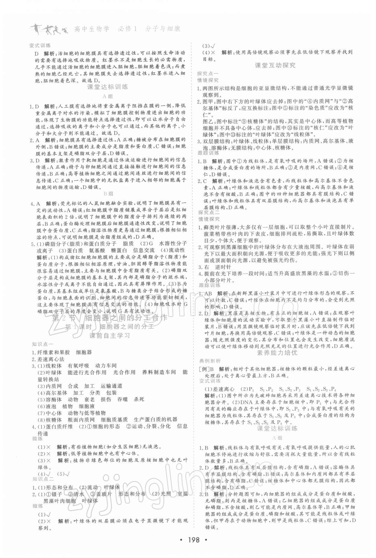 2021年優(yōu)化指導高中必修1分子與細胞 第8頁