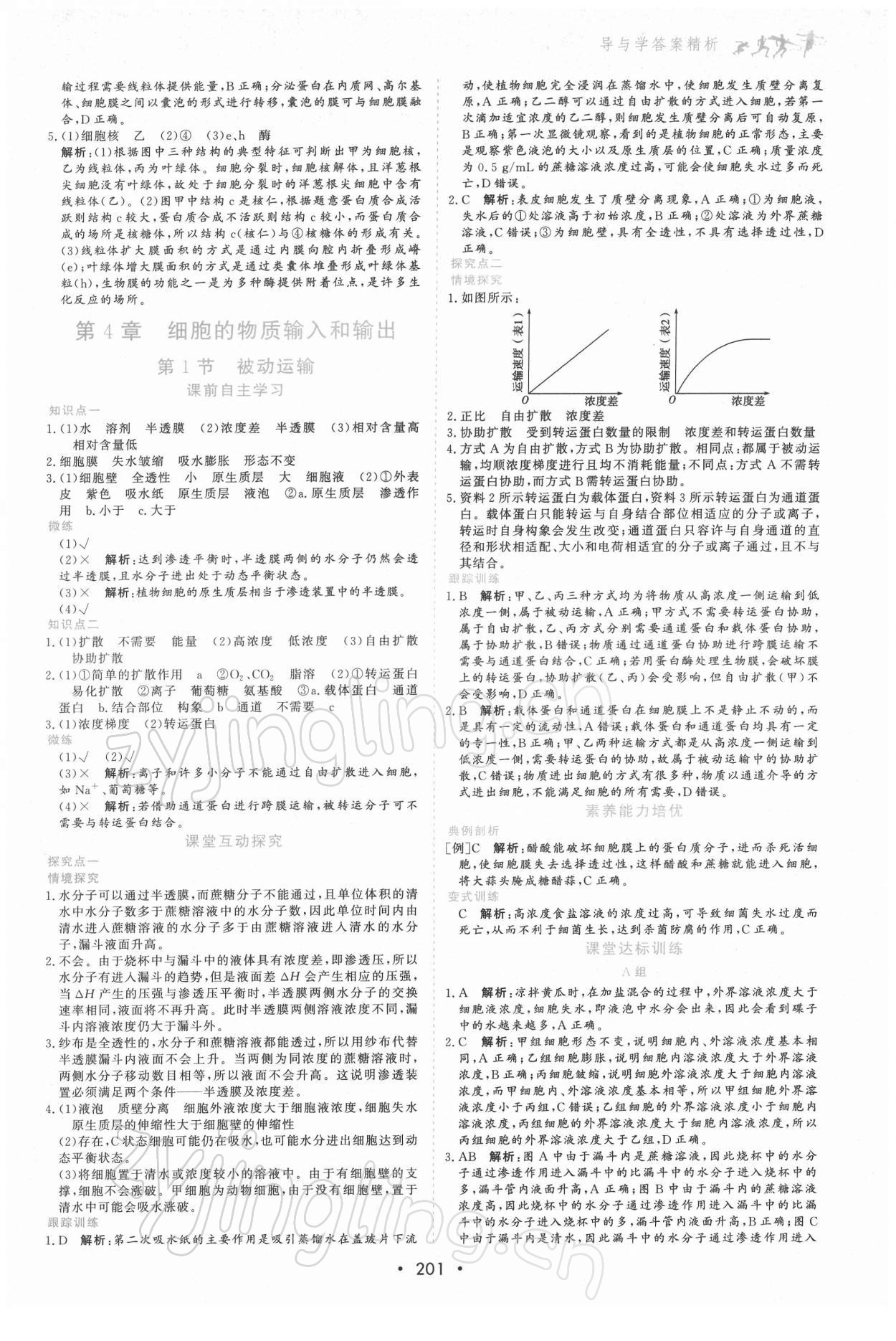 2021年優(yōu)化指導(dǎo)高中必修1分子與細(xì)胞 第11頁