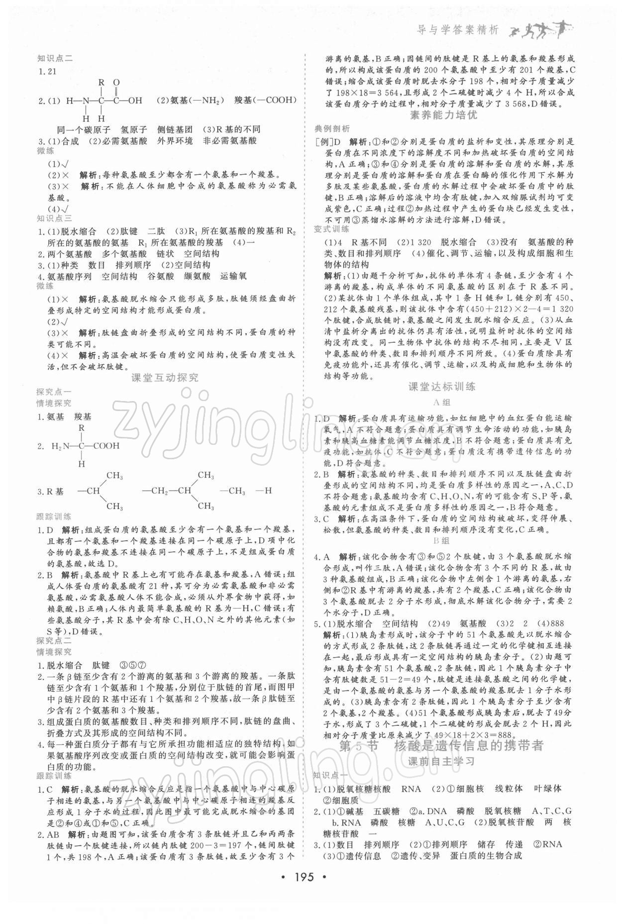 2021年優(yōu)化指導(dǎo)高中必修1分子與細胞 第5頁