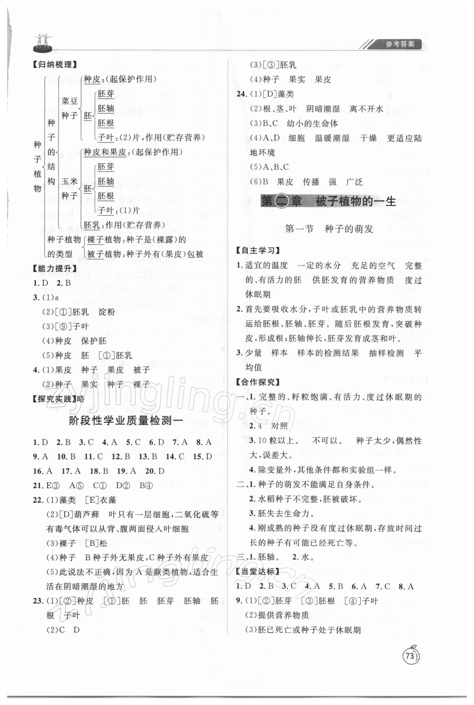 2022年初中同步練習冊六年級生物學下冊魯科版54制山東友誼出版社 參考答案第3頁