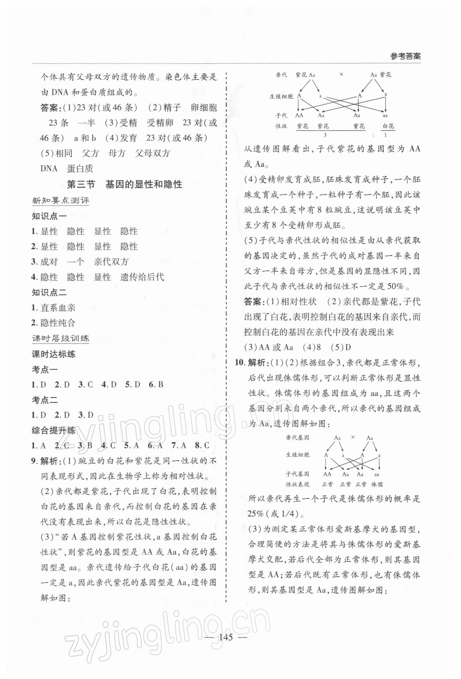 2022年新課堂學(xué)習(xí)與探究八年級(jí)生物下冊(cè)人教版 參考答案第6頁(yè)