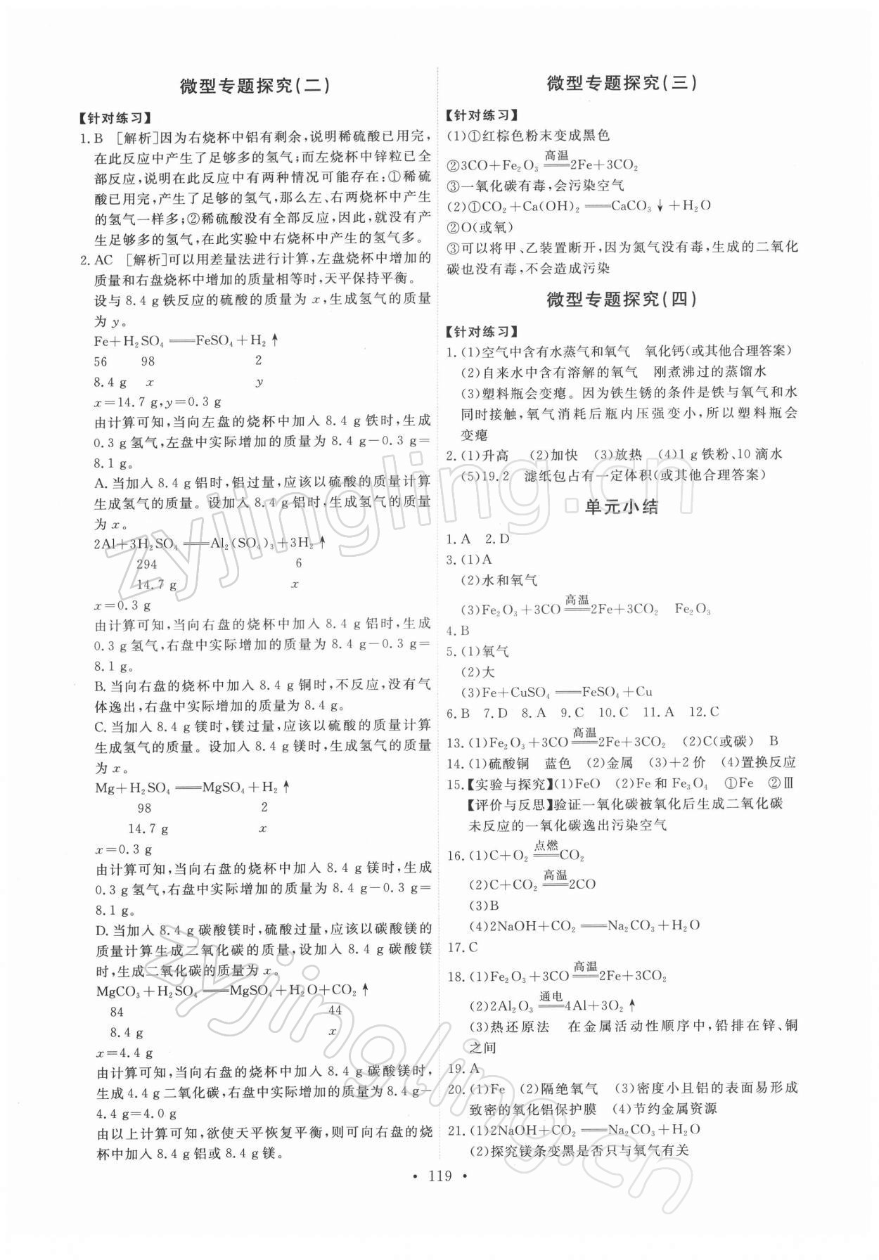 2022年能力培养与测试九年级化学下册人教版 第5页