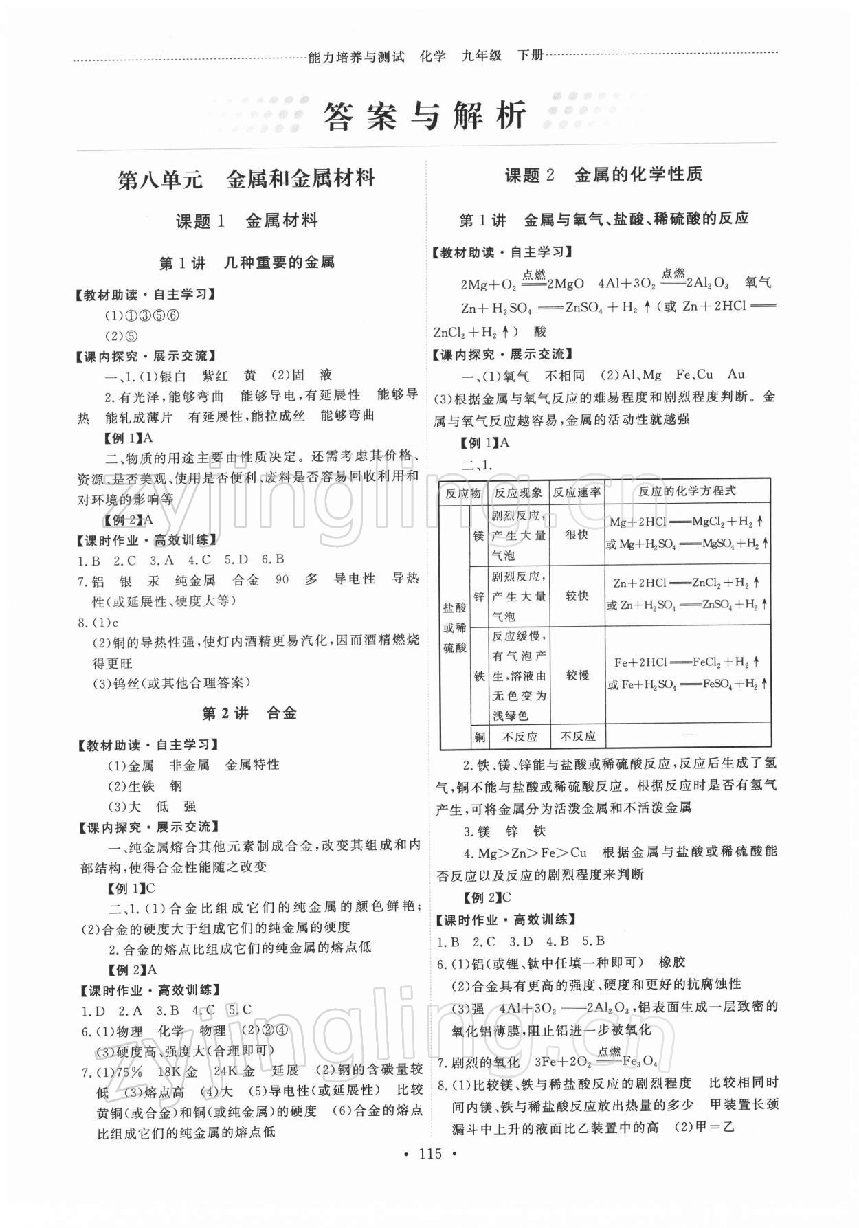 2022年能力培养与测试九年级化学下册人教版 第1页