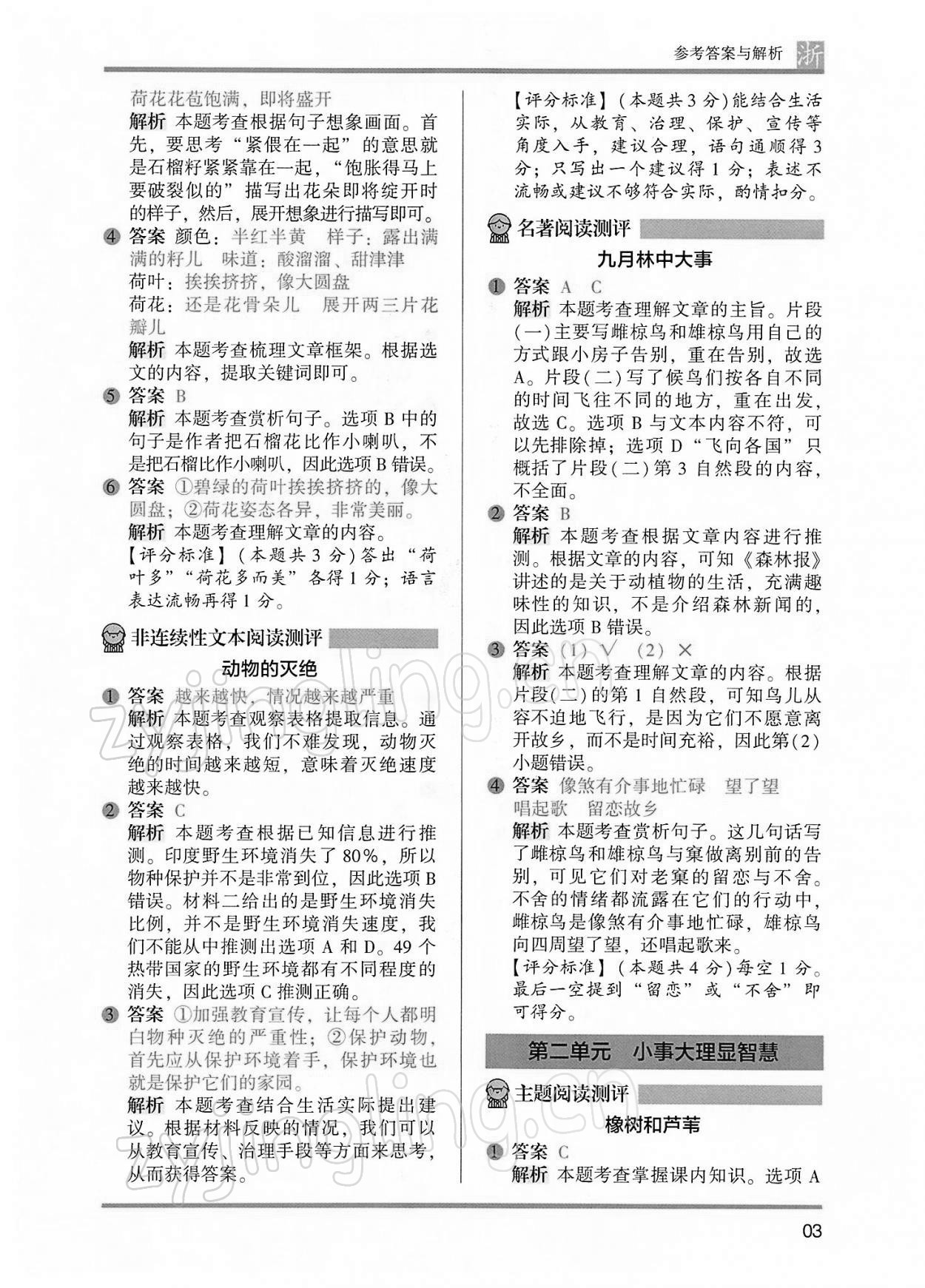 2022年木頭馬閱讀力測(cè)評(píng)三年級(jí)語(yǔ)文浙江專(zhuān)版B版 第3頁(yè)