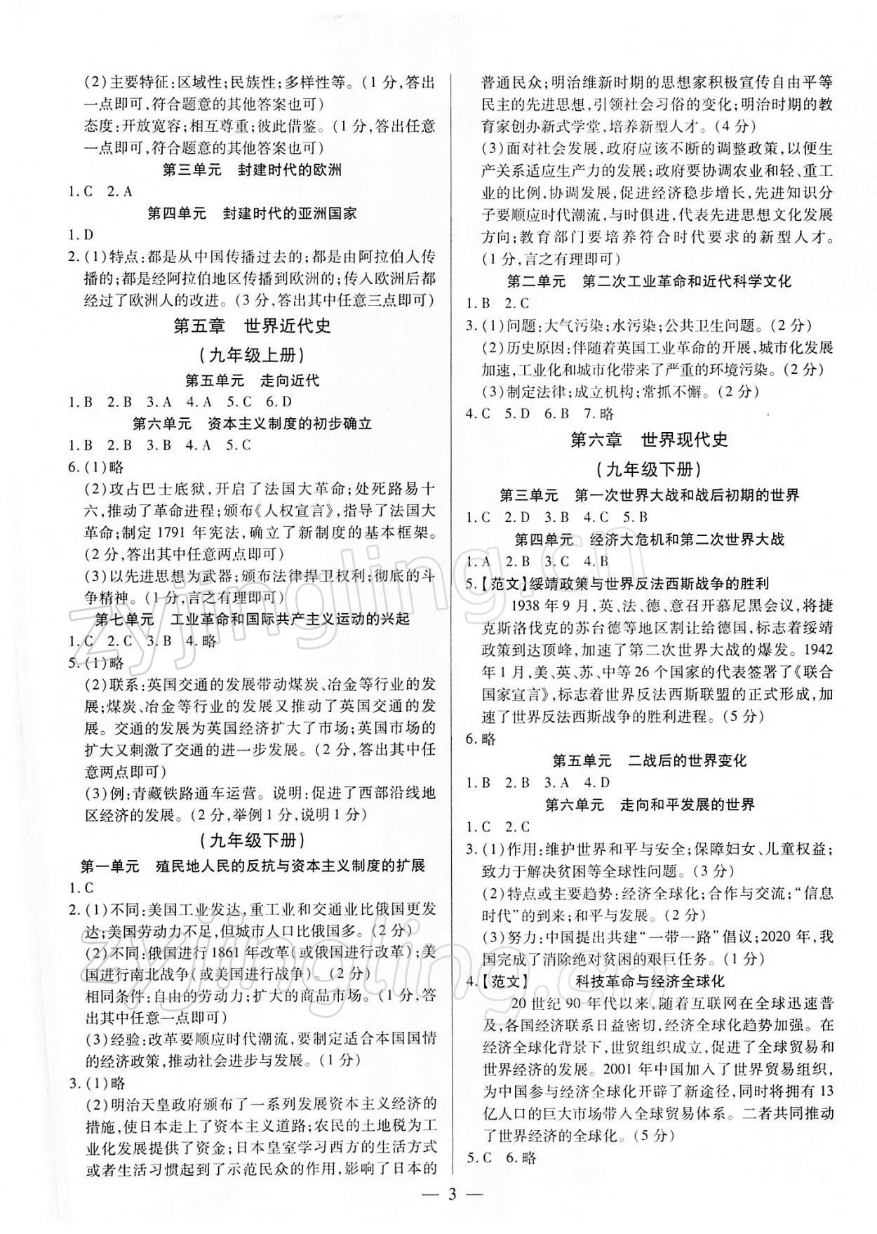 2022年鼎成中考精准提分历史河南专版 参考答案第3页