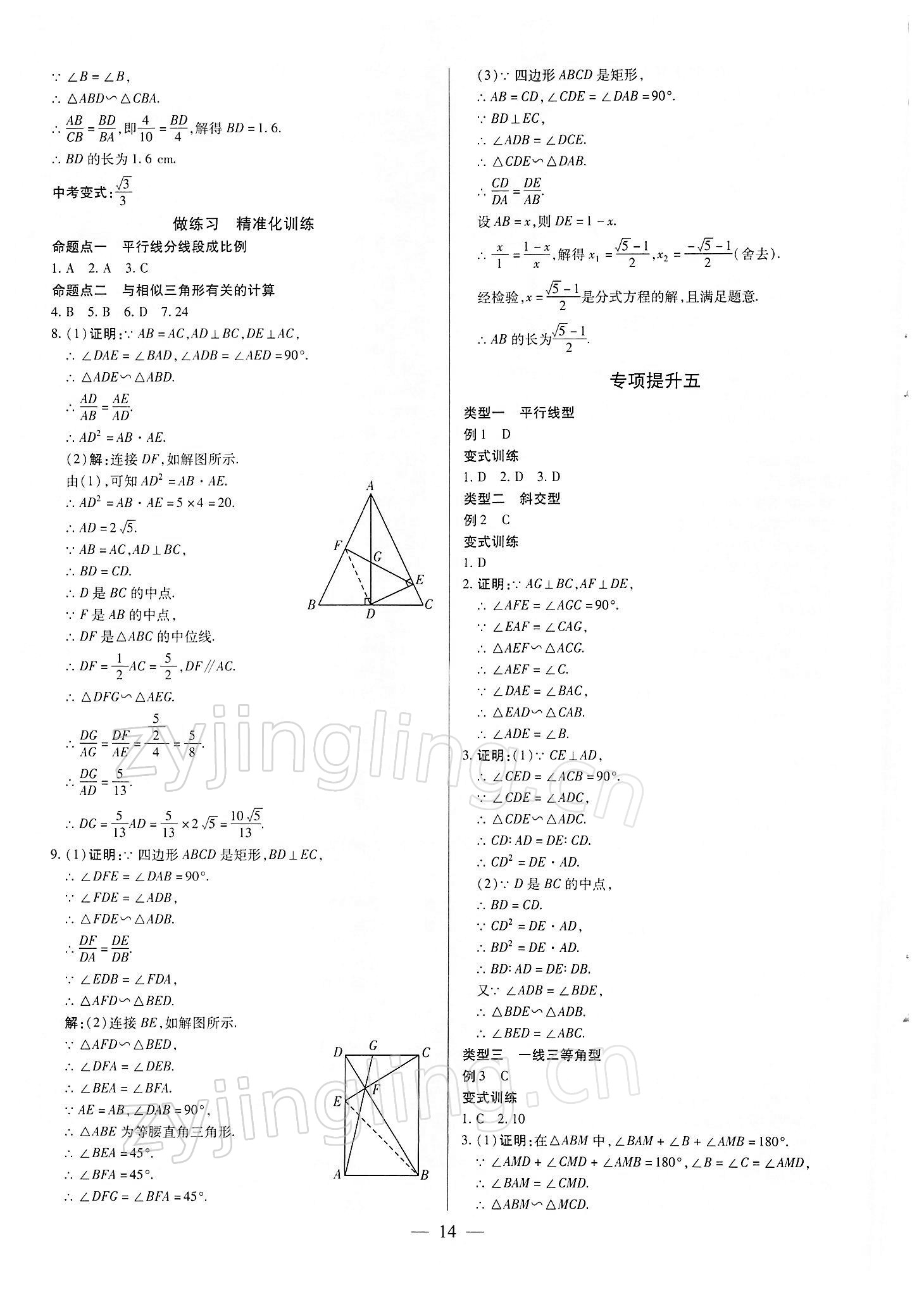 2022年鼎成中考精準提分數學河南專版 參考答案第14頁
