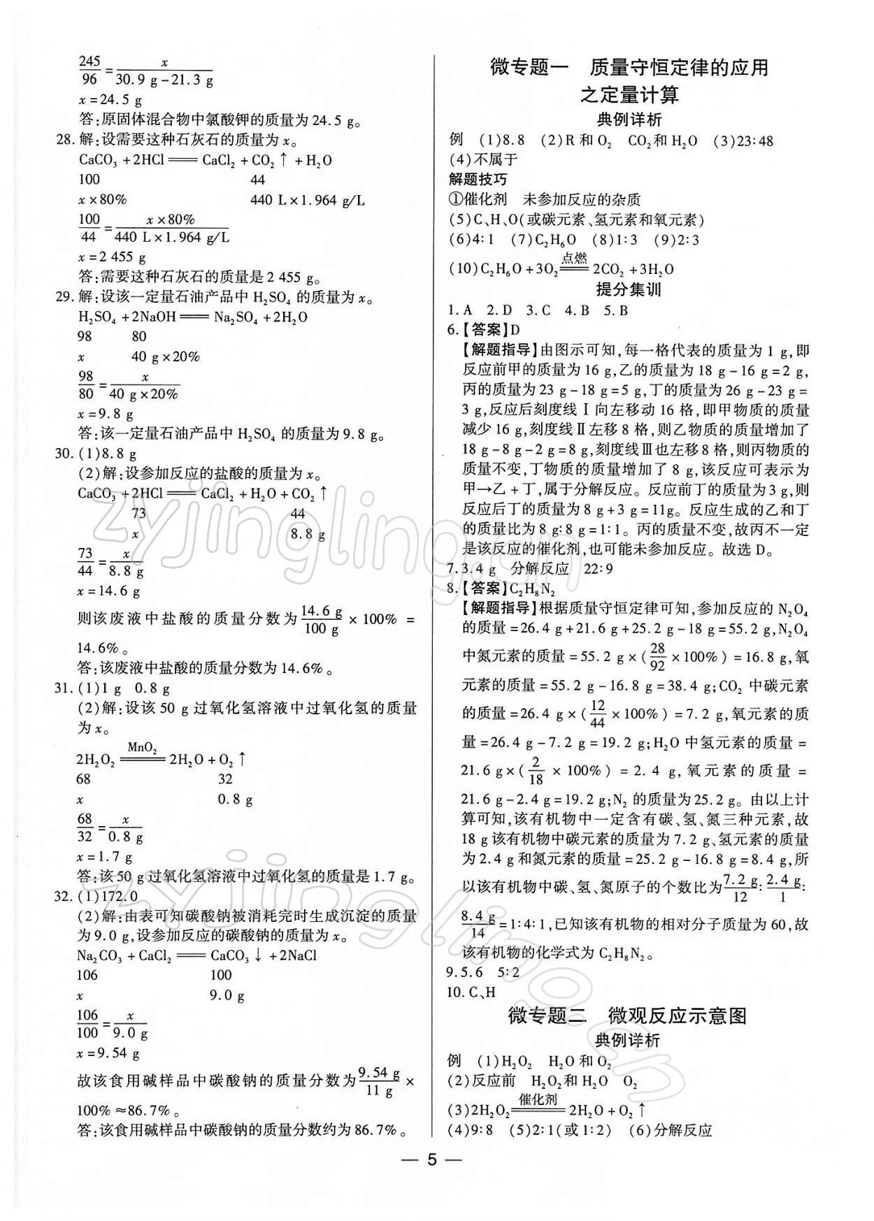 2022年鼎成中考精准提分化学河南专版 参考答案第5页