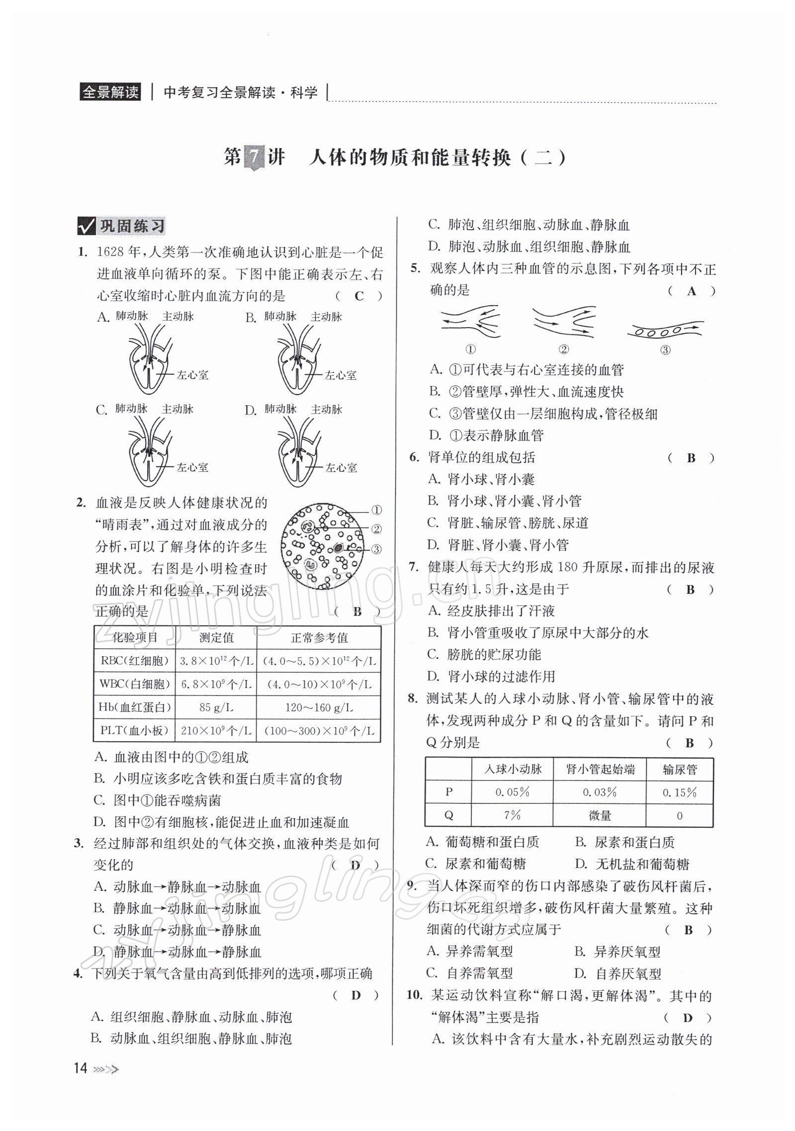 2022年中考復習全景解讀九年級科學浙教版 參考答案第52頁