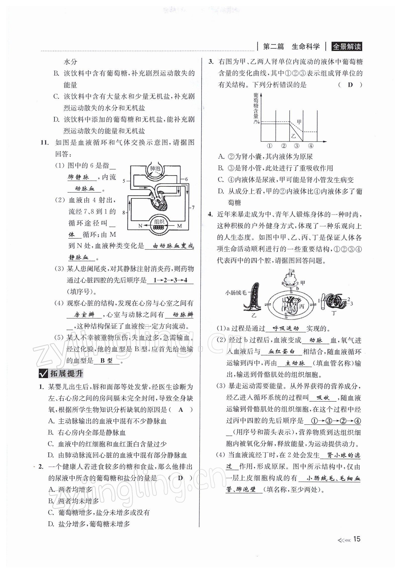 2022年中考復(fù)習(xí)全景解讀九年級科學(xué)浙教版 參考答案第56頁