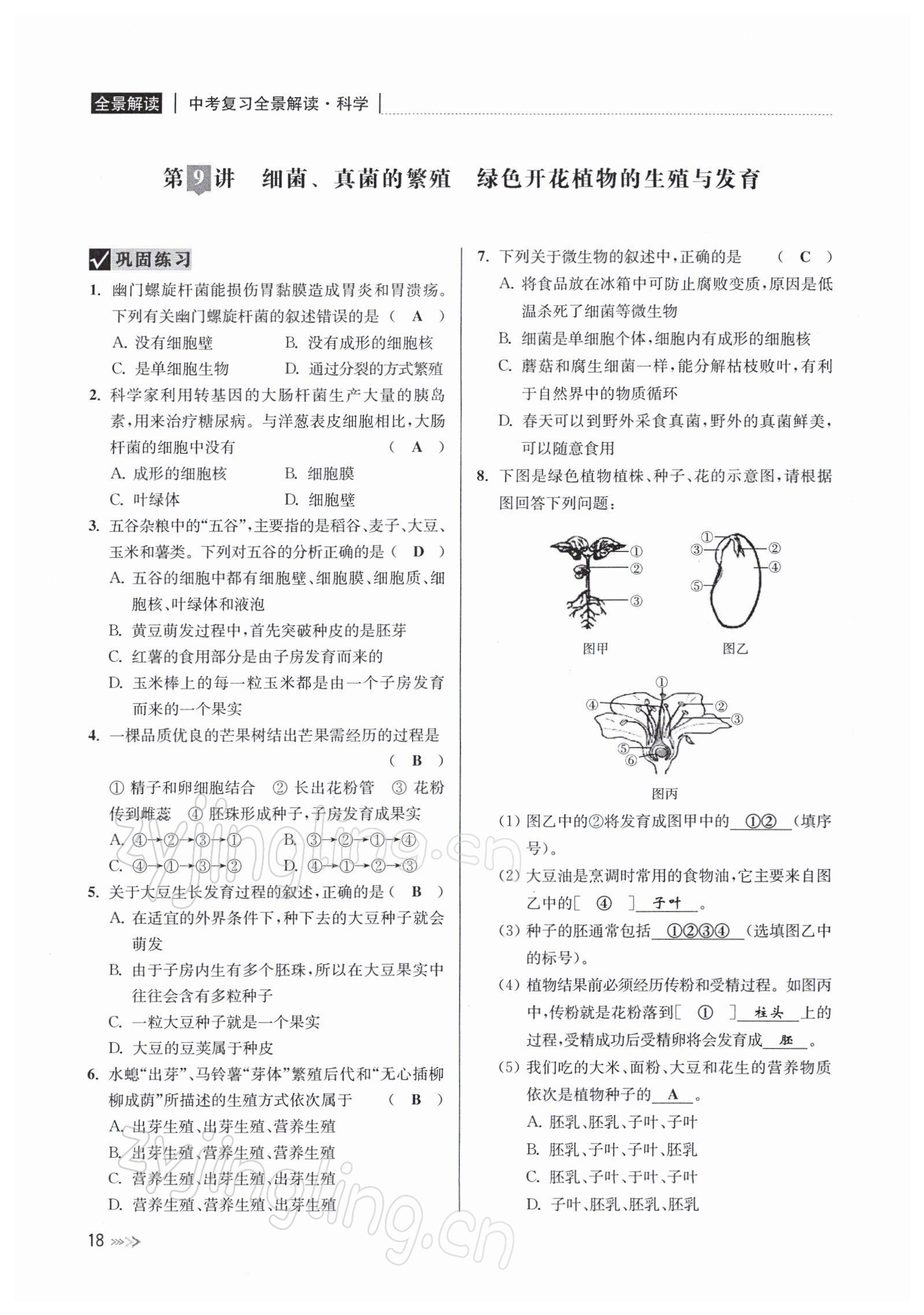 2022年中考復習全景解讀九年級科學浙教版 參考答案第68頁