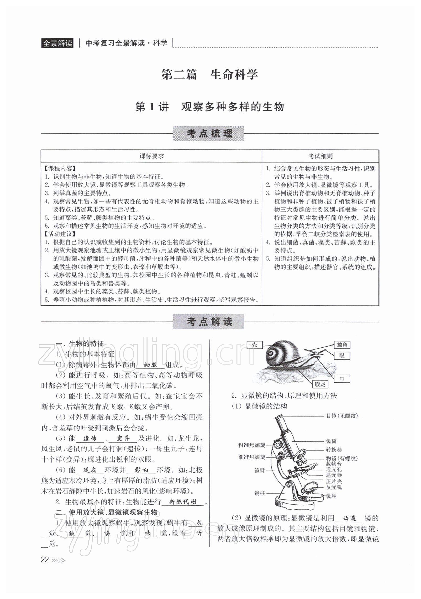 2022年中考復(fù)習(xí)全景解讀九年級科學(xué)浙教版 參考答案第82頁