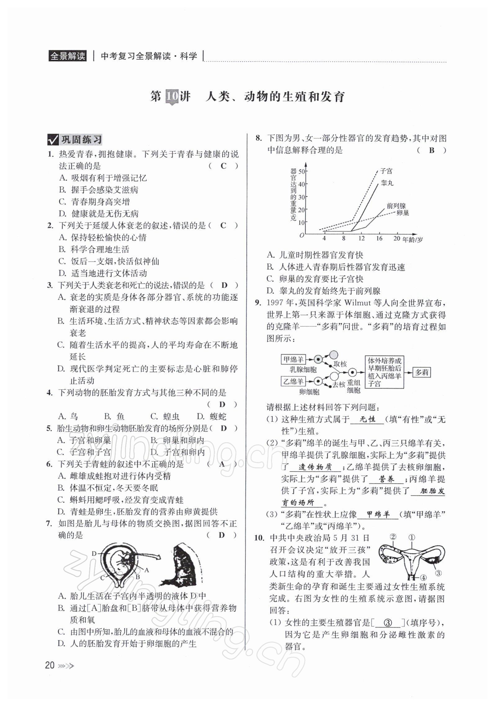 2022年中考復(fù)習(xí)全景解讀九年級科學(xué)浙教版 參考答案第76頁