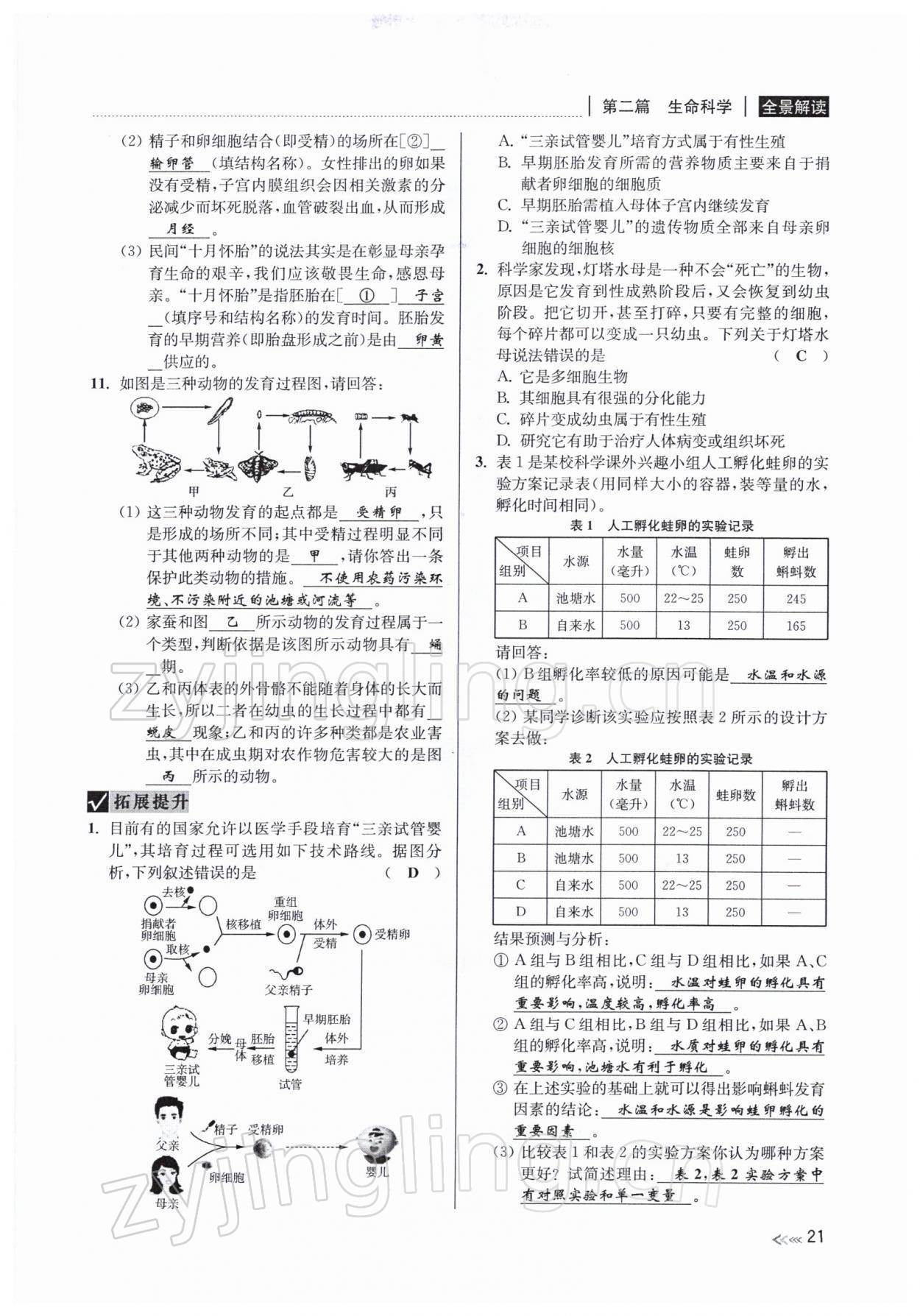 2022年中考復習全景解讀九年級科學浙教版 參考答案第80頁