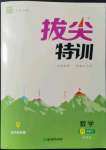 2022年拔尖特訓(xùn)六年級數(shù)學(xué)下冊蘇教版