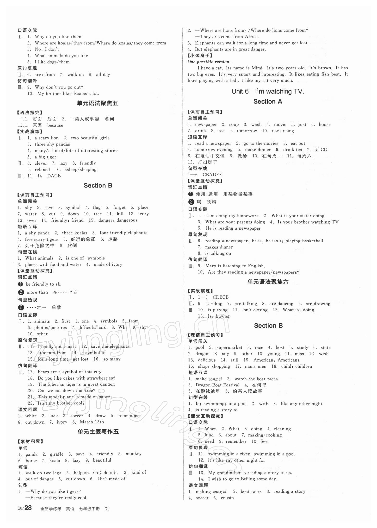 2022年全品學練考七年級英語下冊人教版 第4頁