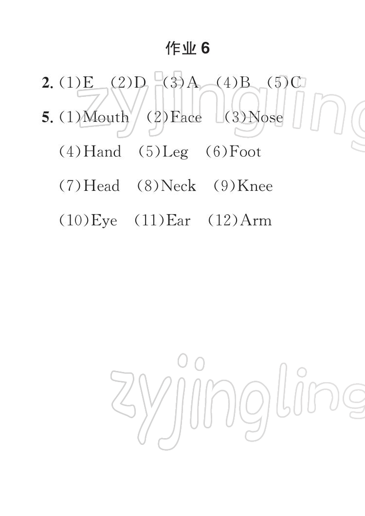 2022年七彩假日快樂假期寒假作業(yè)三年級(jí)英語 參考答案第6頁