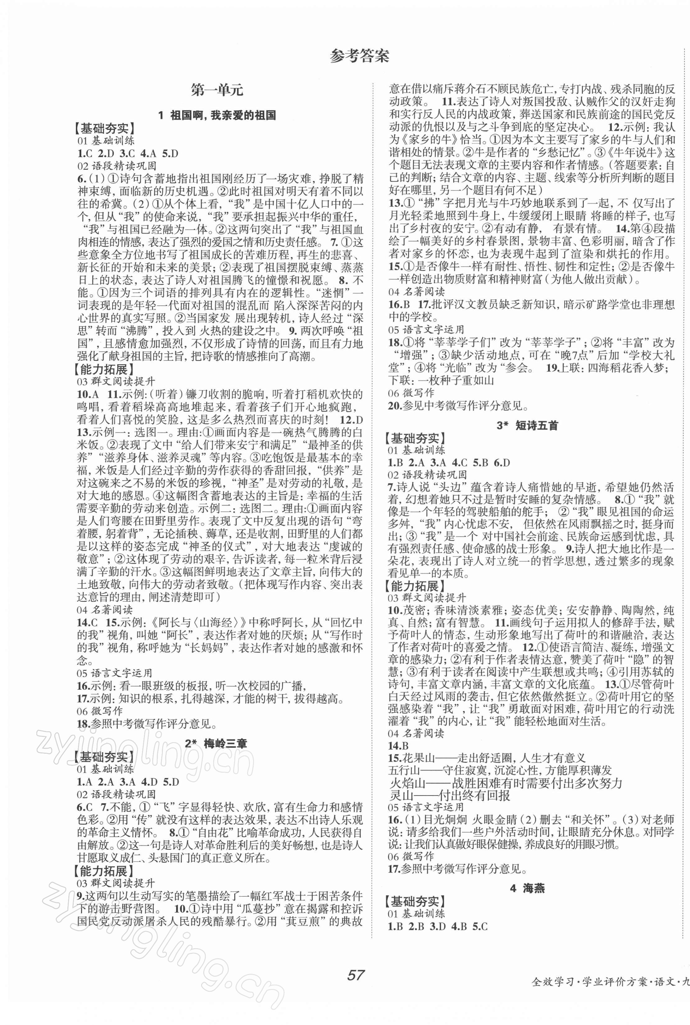 2022年全效學(xué)習(xí)學(xué)業(yè)評價方案九年級語文下冊人教版 第1頁