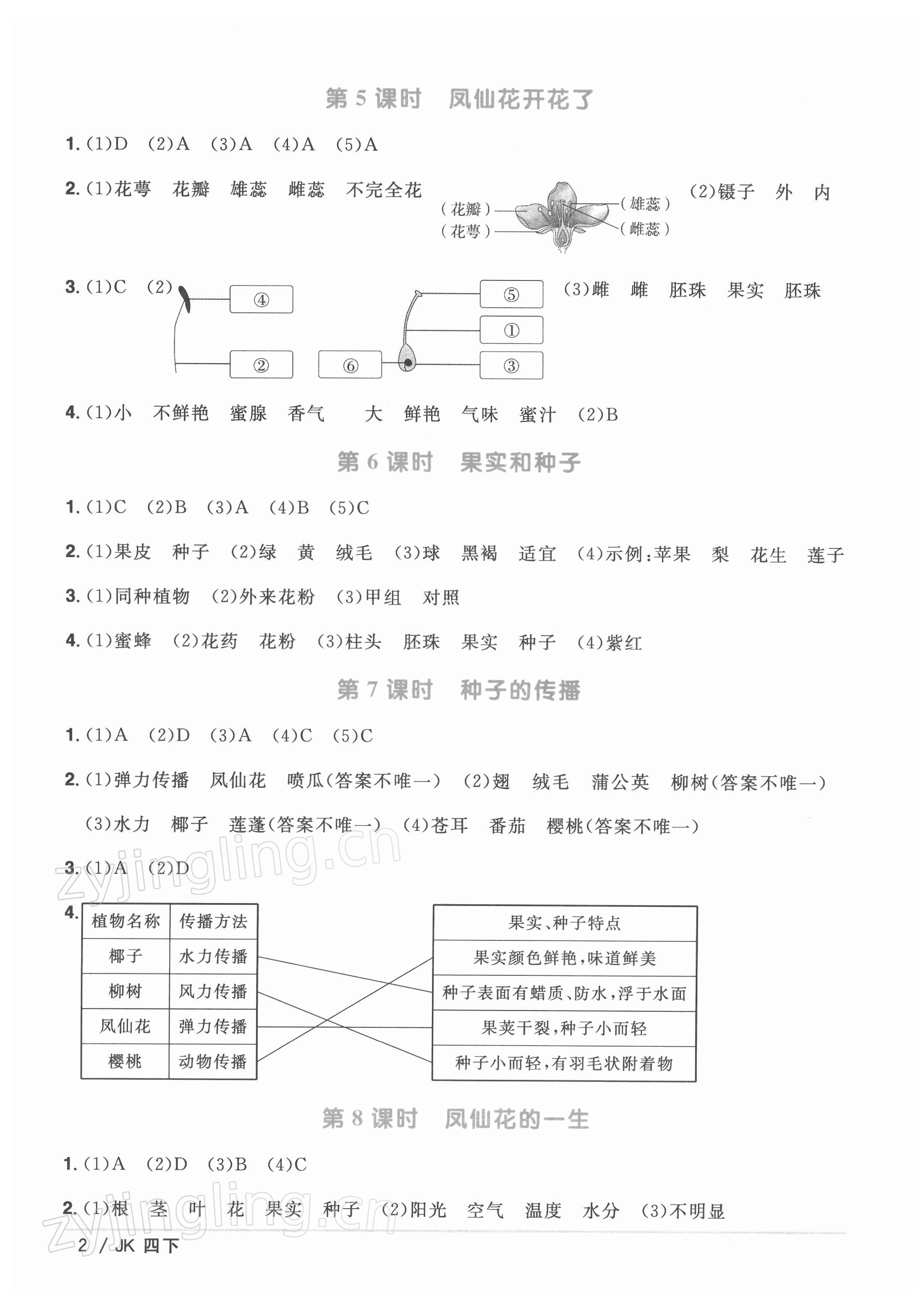 2022年陽(yáng)光同學(xué)課時(shí)優(yōu)化作業(yè)四年級(jí)科學(xué)下冊(cè)教科版 第2頁(yè)