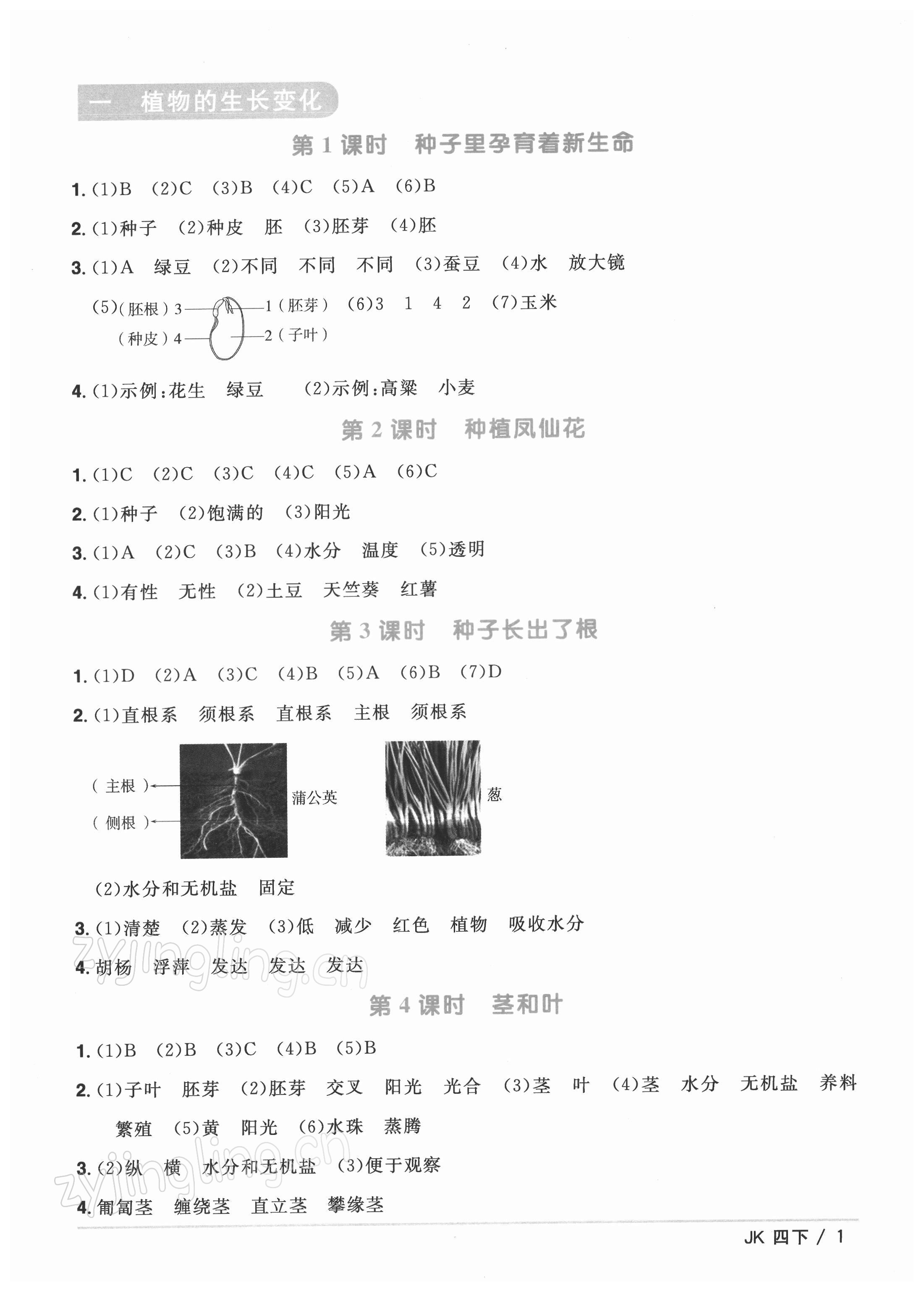 2022年阳光同学课时优化作业四年级科学下册教科版 第1页