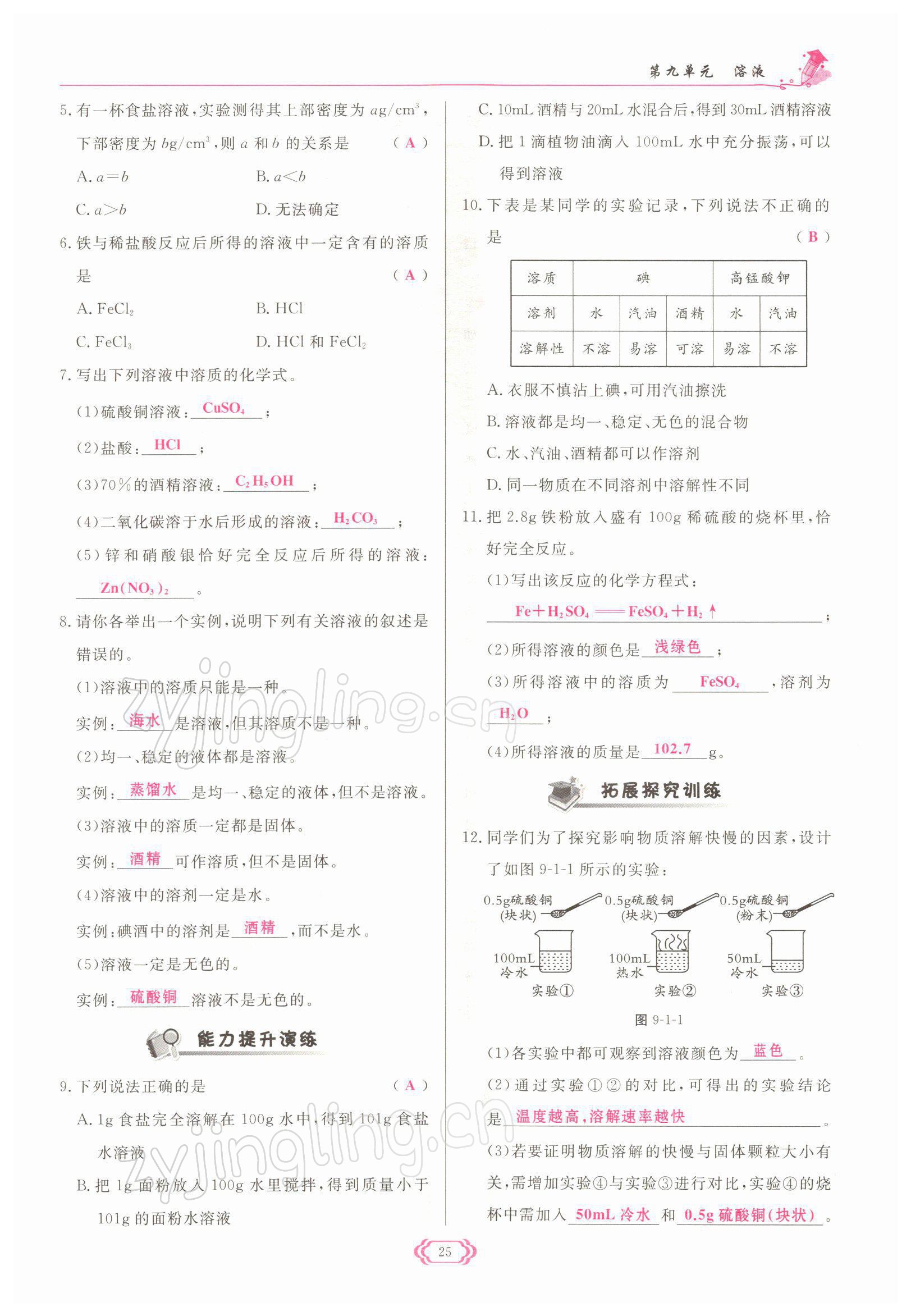 2022年启航新课堂九年级化学下册人教版 参考答案第25页