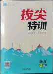 2022年拔尖特訓(xùn)九年級物理下冊蘇科版