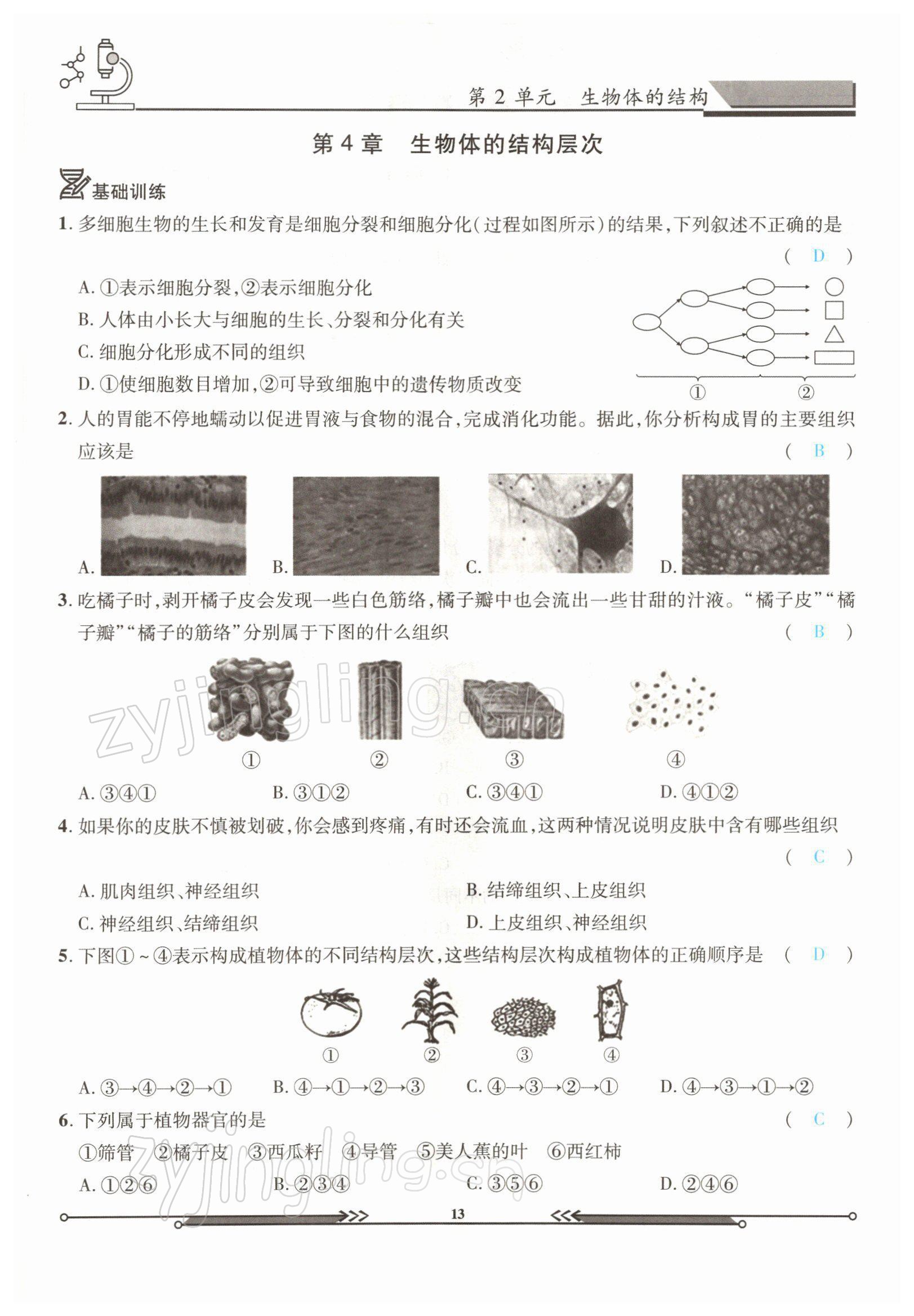 2022年決勝會考生物北師大版 參考答案第13頁