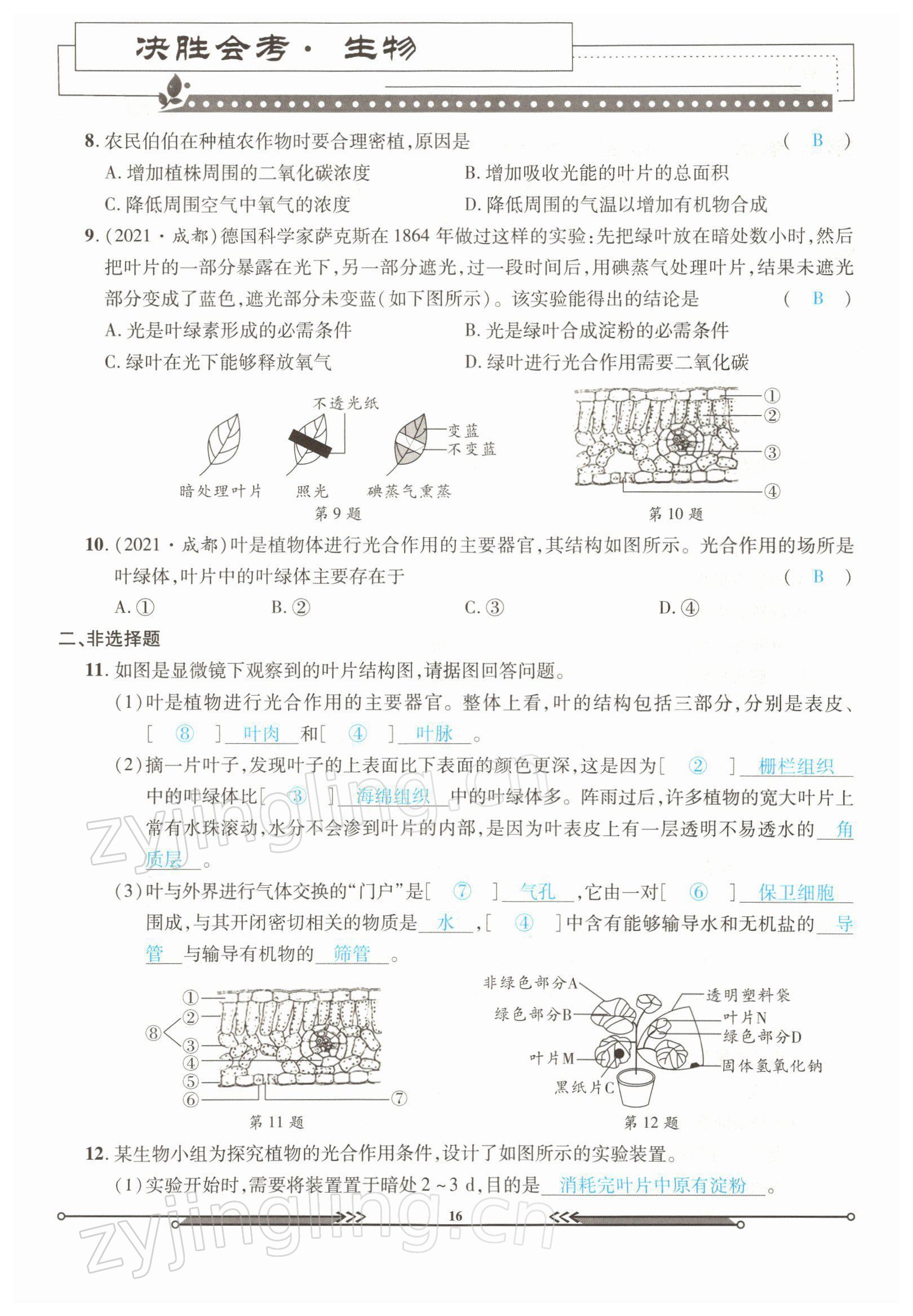 2022年決勝會考生物北師大版 參考答案第16頁