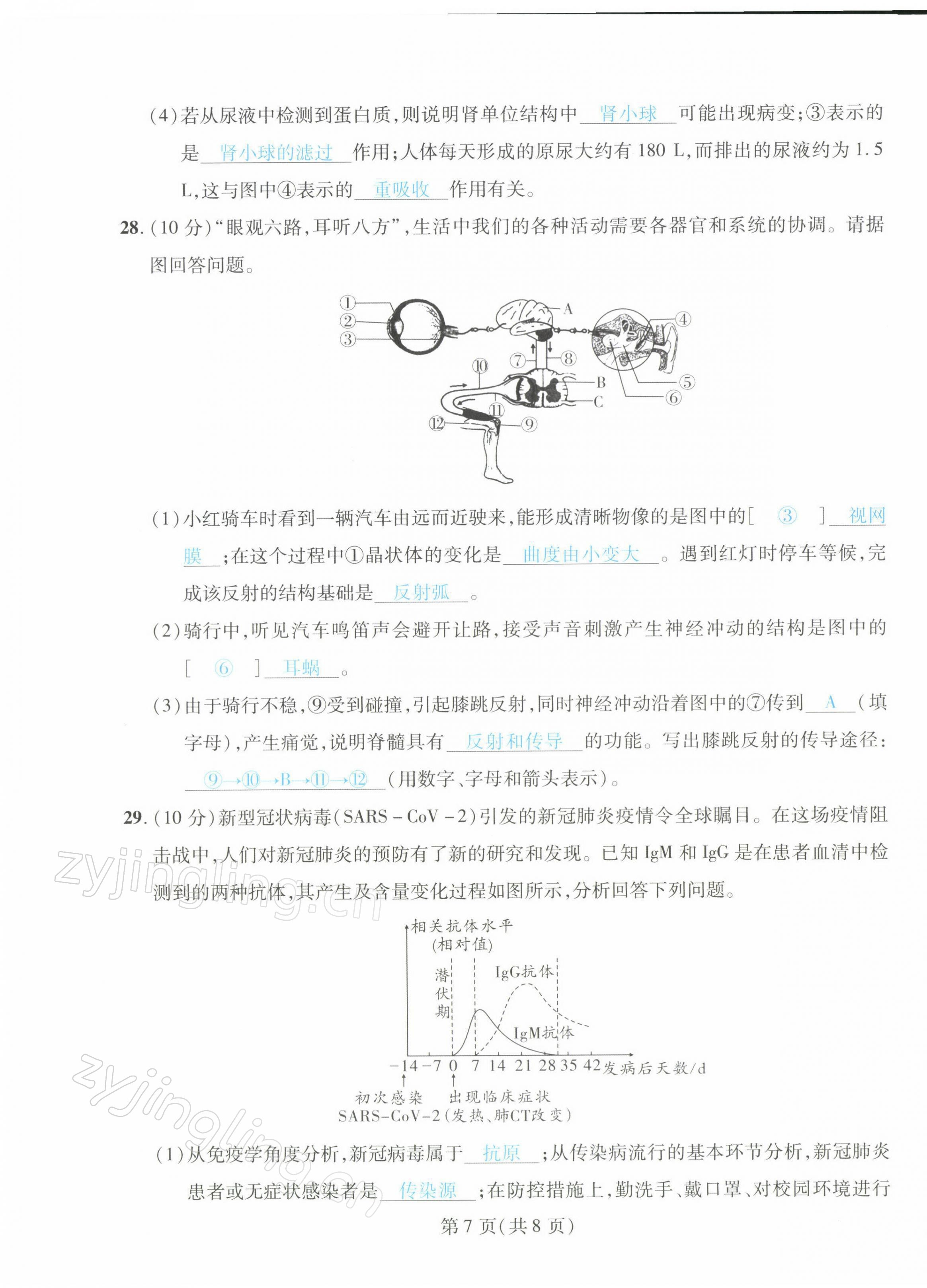 2022年決勝會考生物北師大版 第15頁