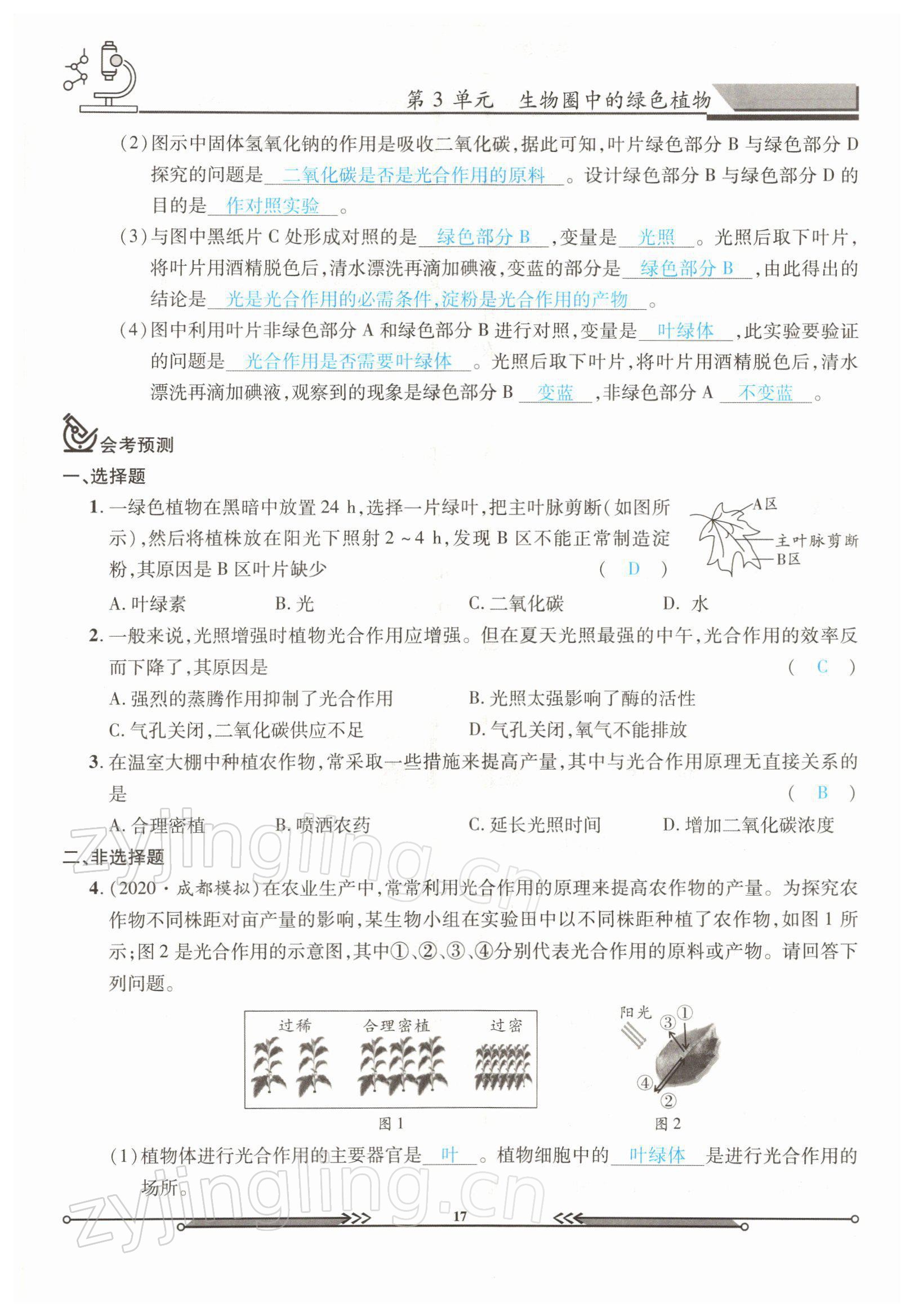 2022年決勝會(huì)考生物北師大版 參考答案第17頁