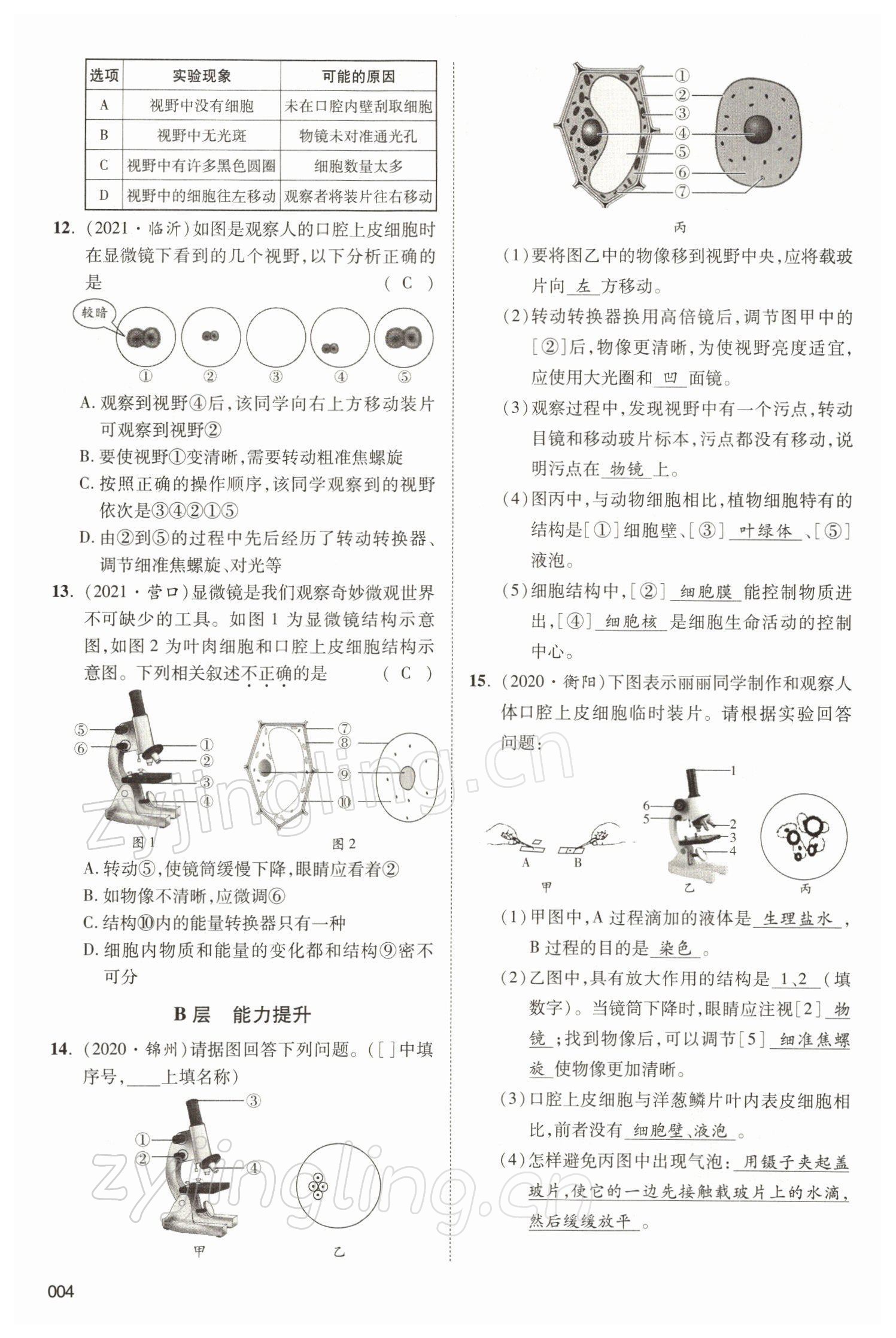 2022年中考狀元生物北師大版 參考答案第4頁