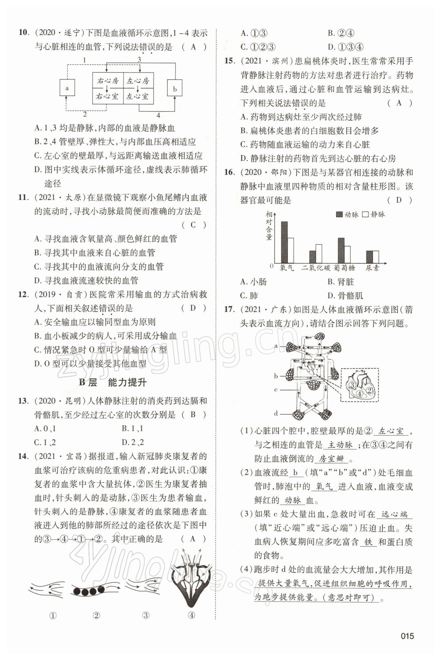 2022年中考状元生物北师大版 参考答案第15页