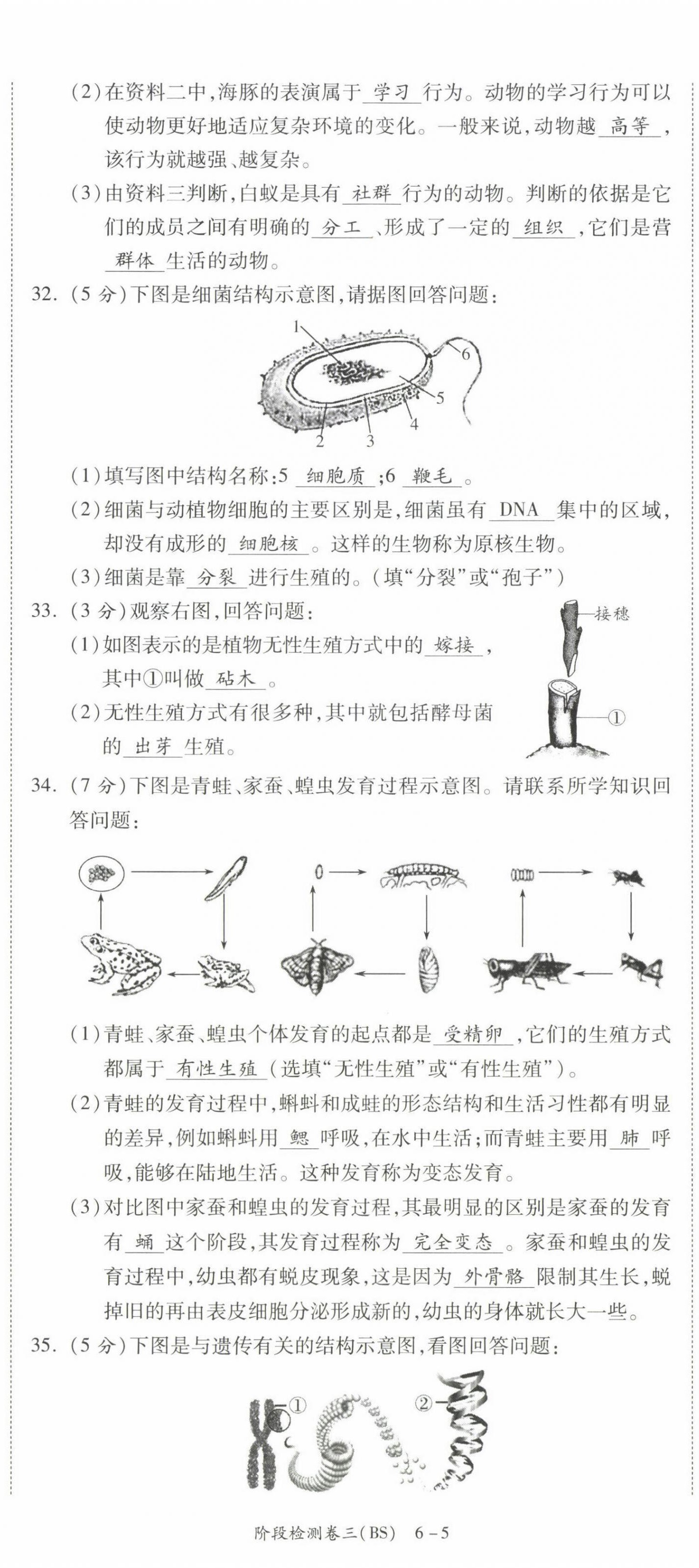 2022年中考状元生物北师大版 第17页